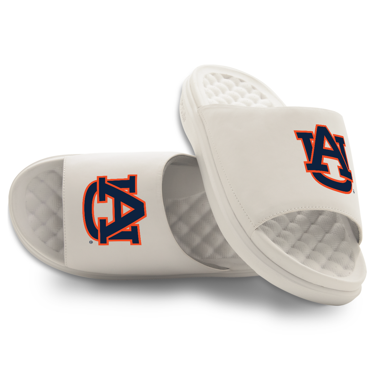 Auburn Tigers Primary Motive 16