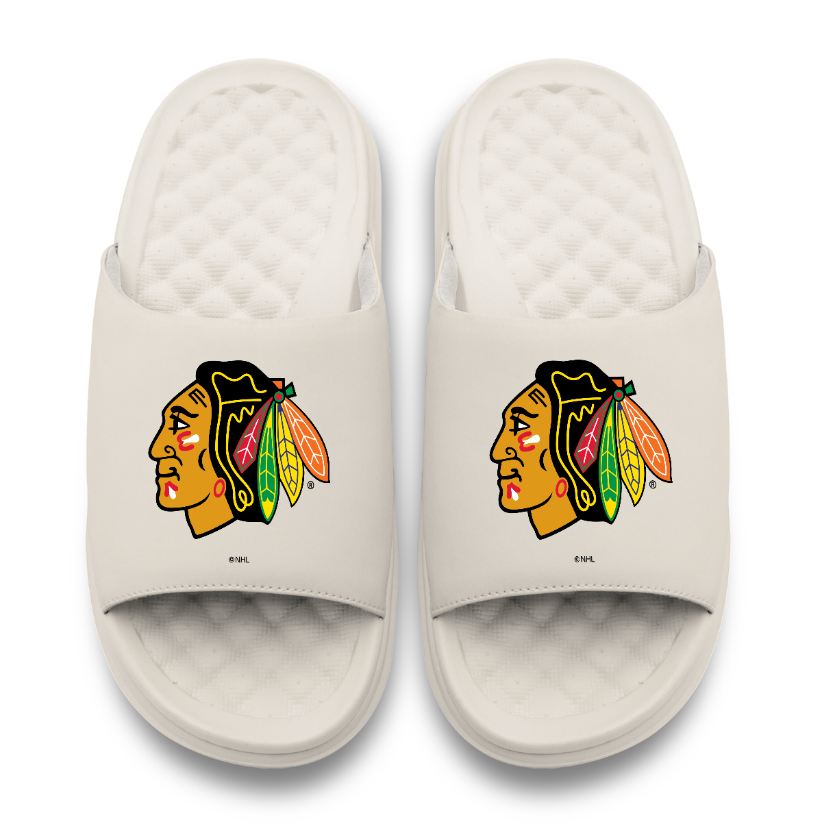 Chicago Blackhawks Primary Motive 17