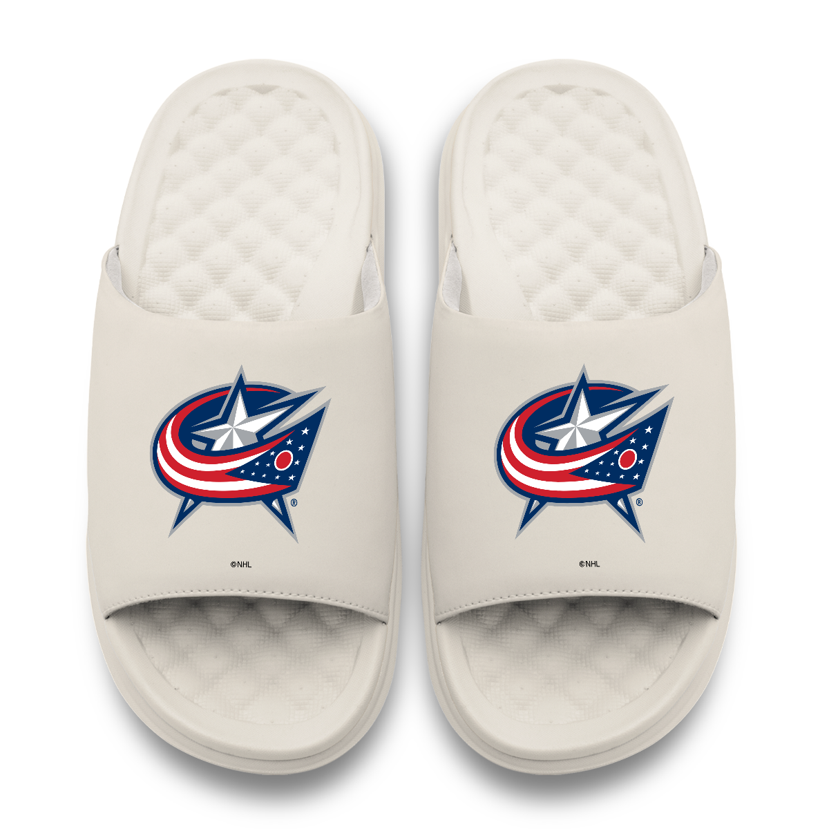 Columbus Blue Jackets Primary Motive 17