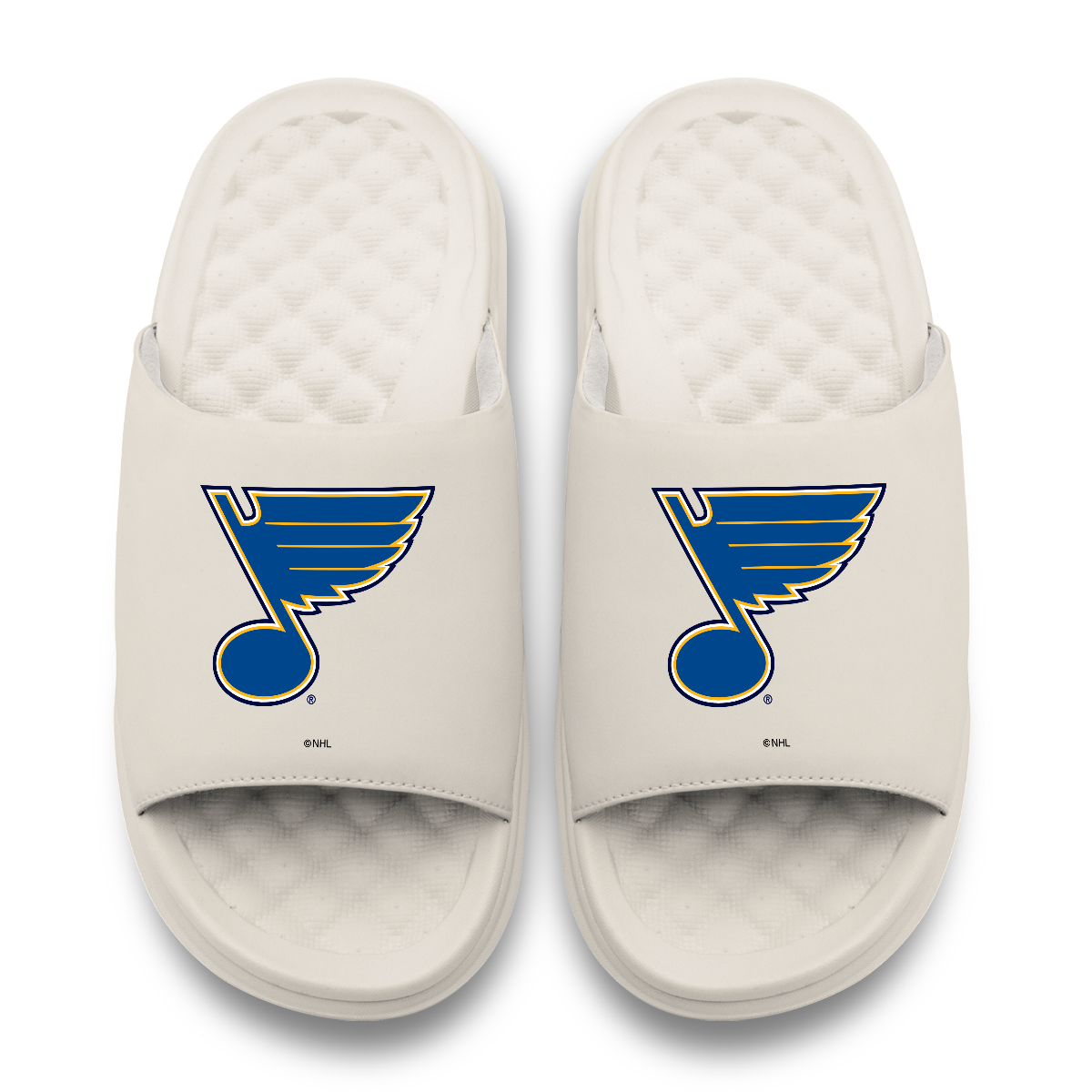 St Louis Blues Primary Motive 17