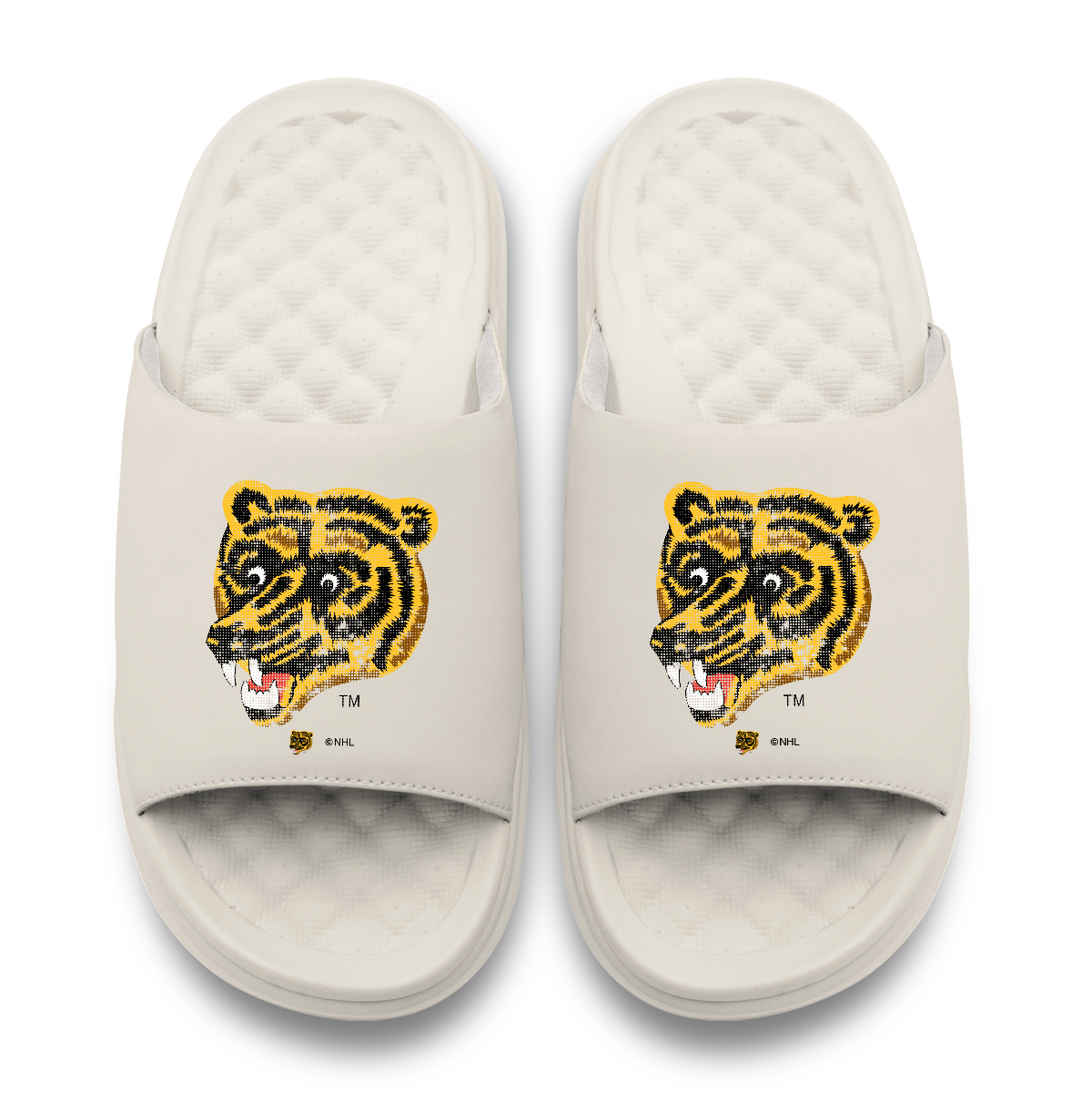 Boston Bruins Vintage Bear Distressed Logo Motive
