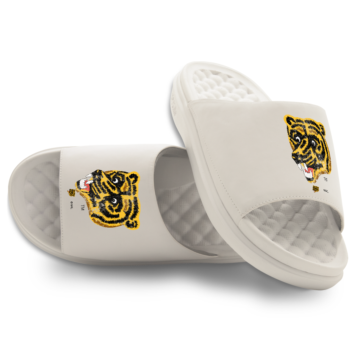 Boston Bruins Vintage Bear Distressed Logo Motive