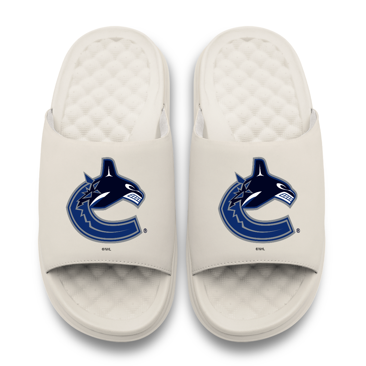 Vancouver Canucks Primary Motive 17