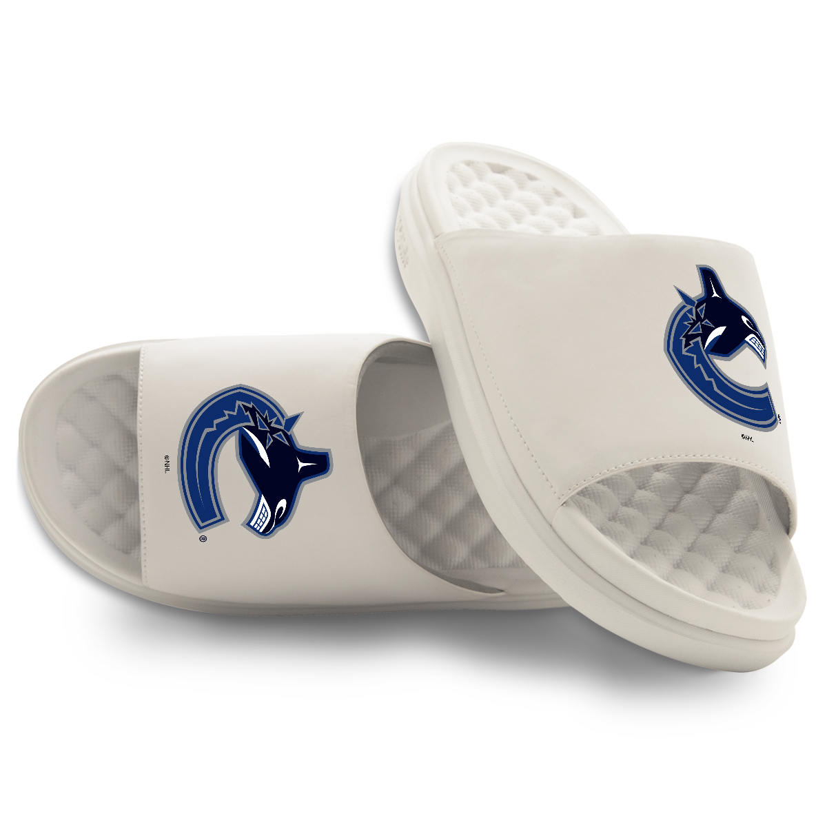 Vancouver Canucks Primary Motive 16