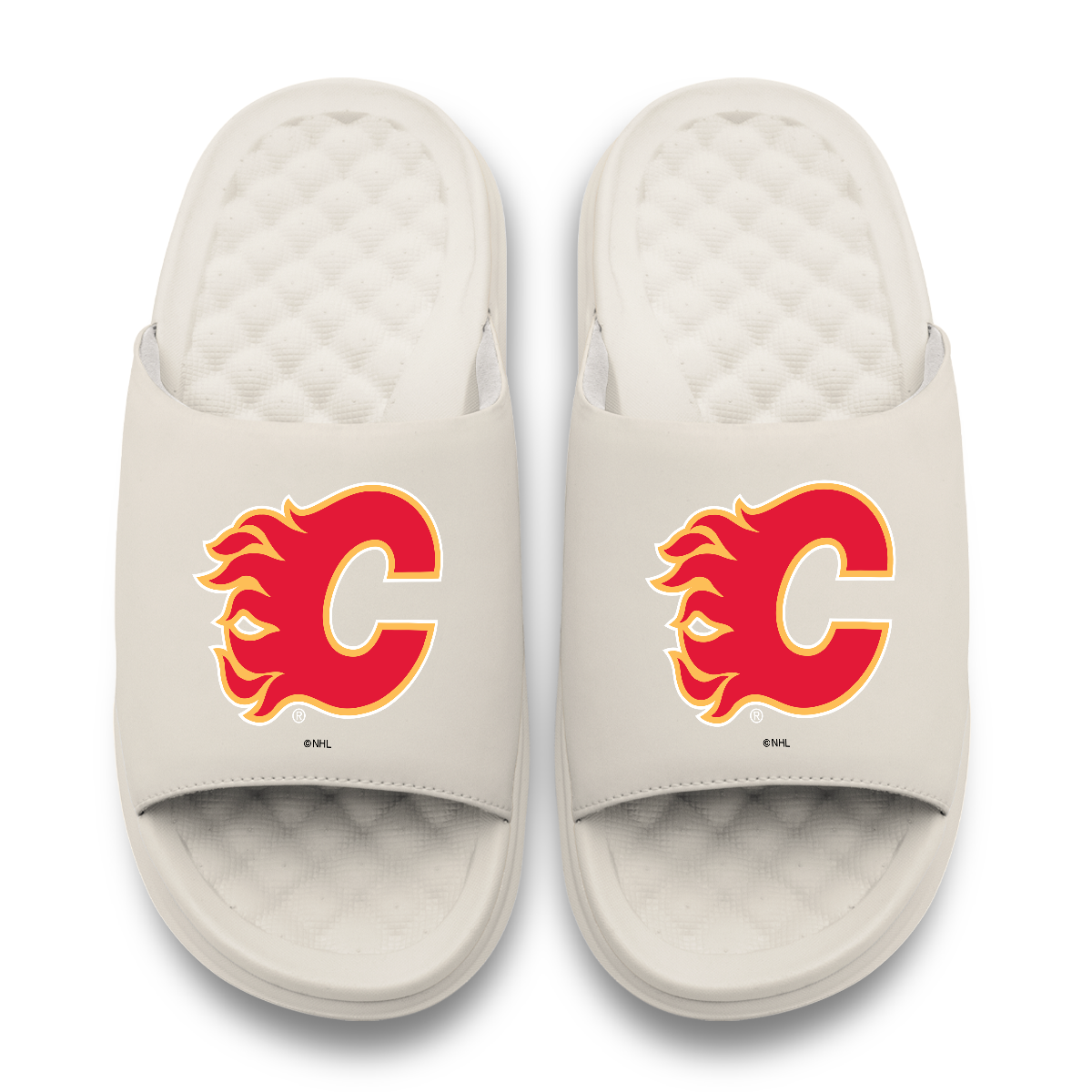 Calgary Flames Primary Motive 17