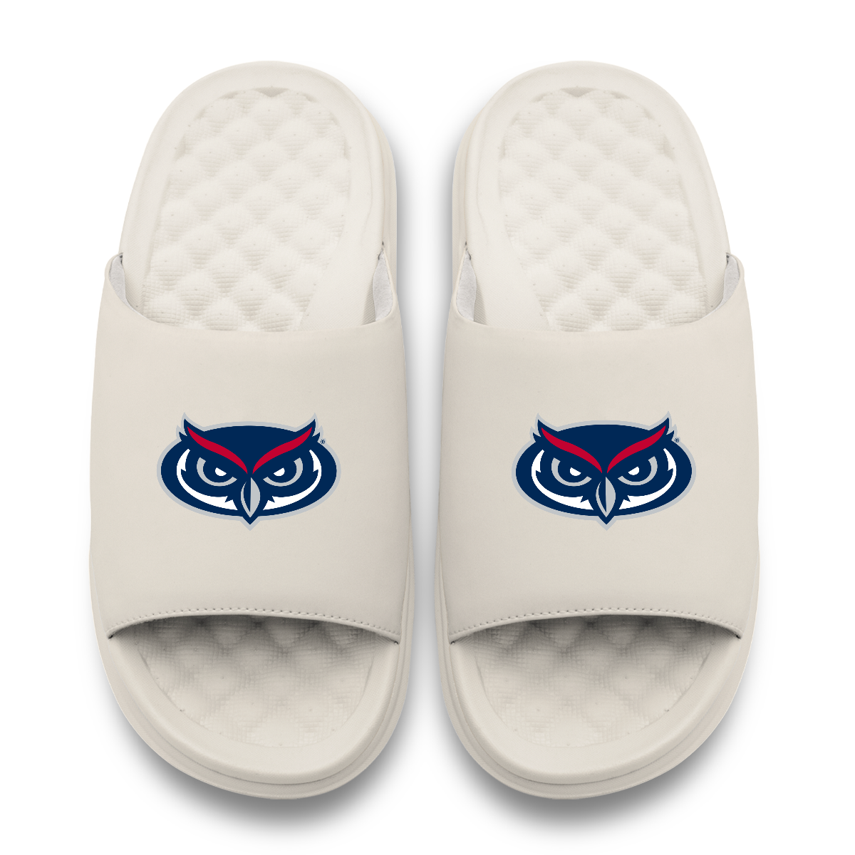 Florida Atlantic Owls Primary Motive 17