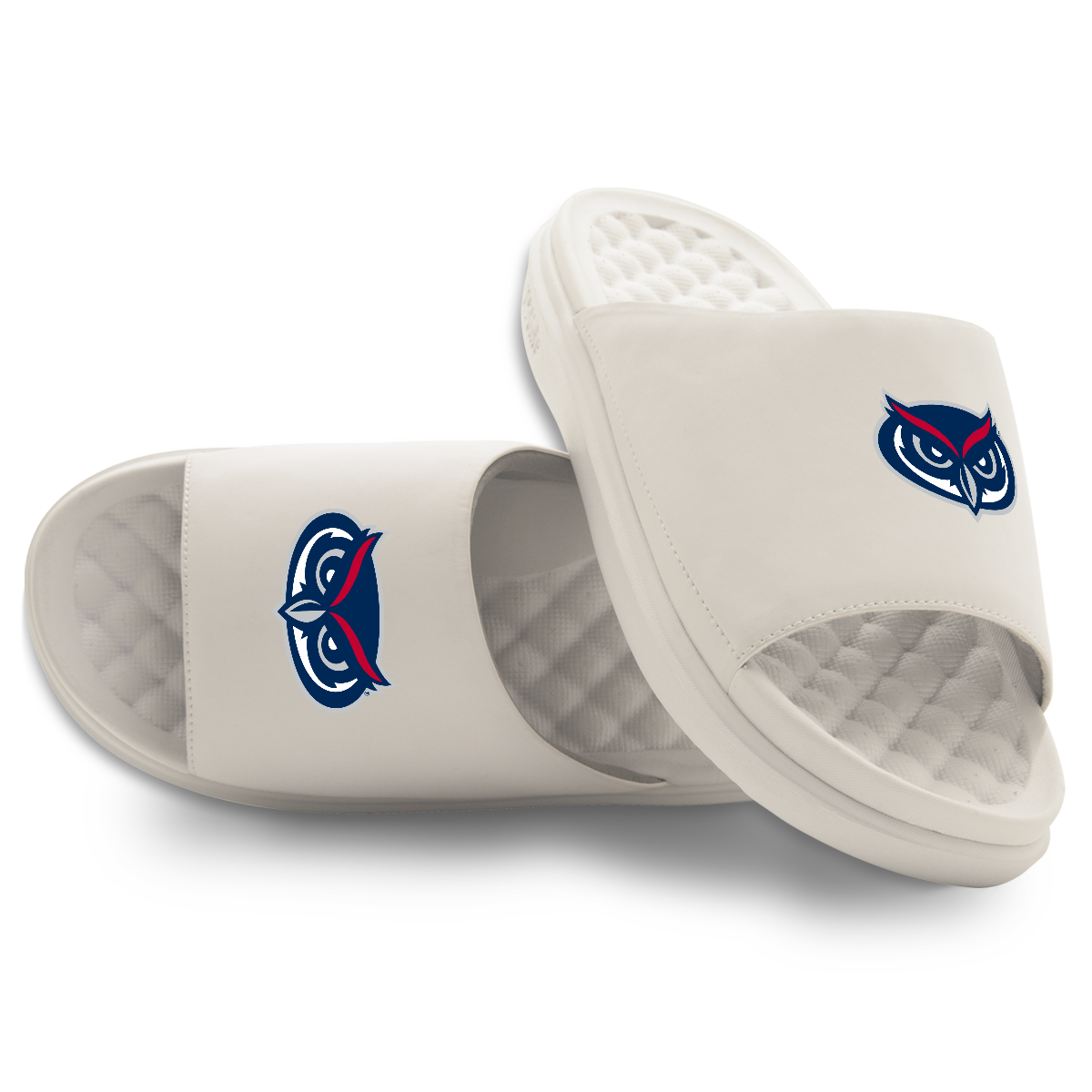 Florida Atlantic Owls Primary Motive 16