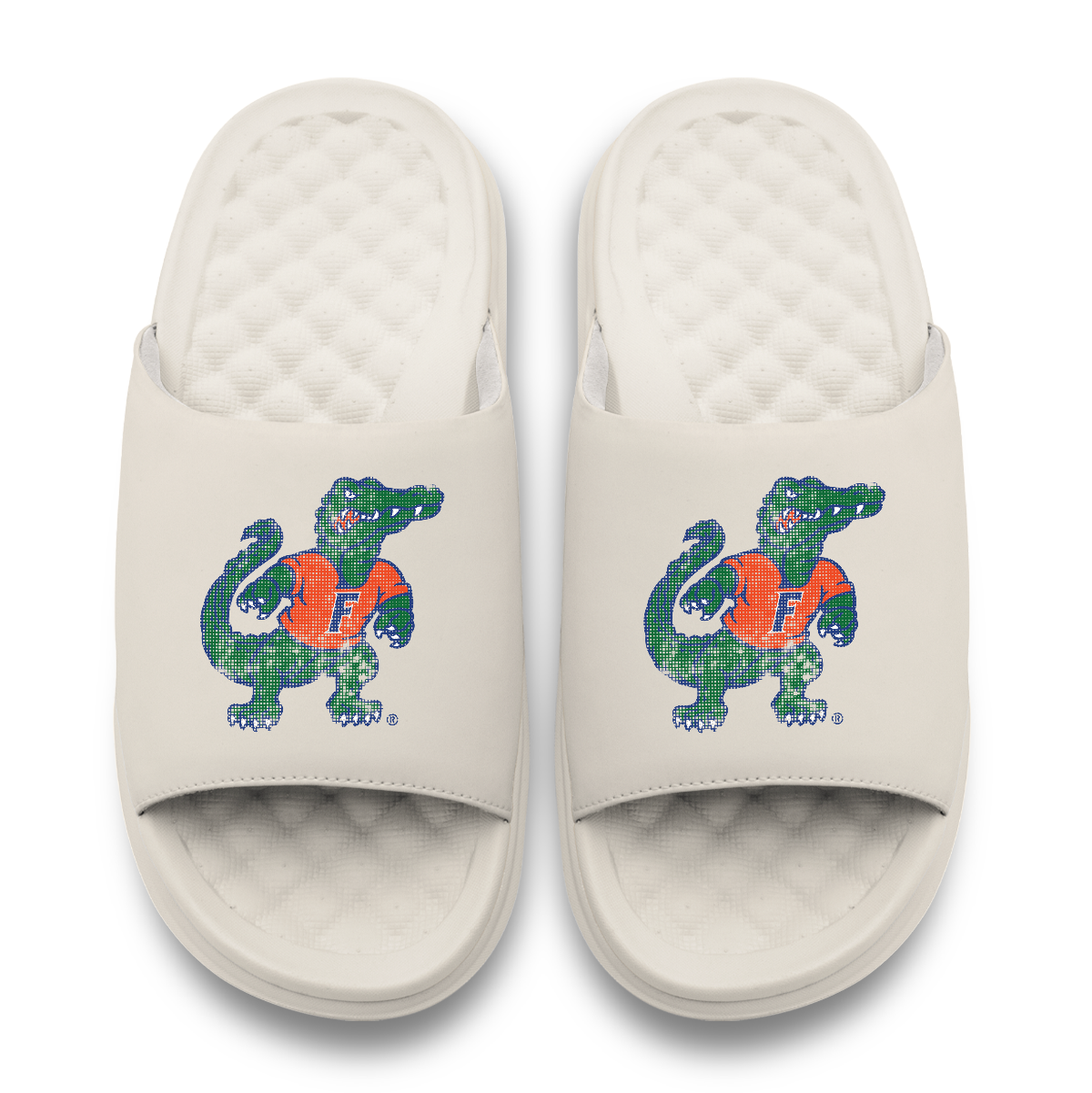 Florida Gators Pixeled Distressed Motive 2