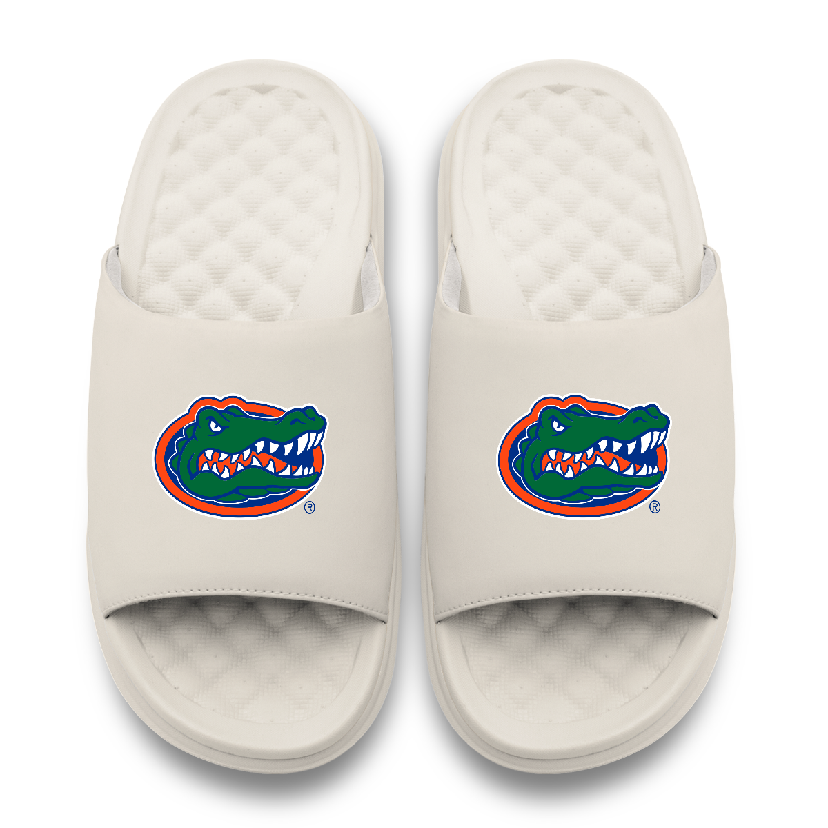 Florida Gators Primary Motive 17