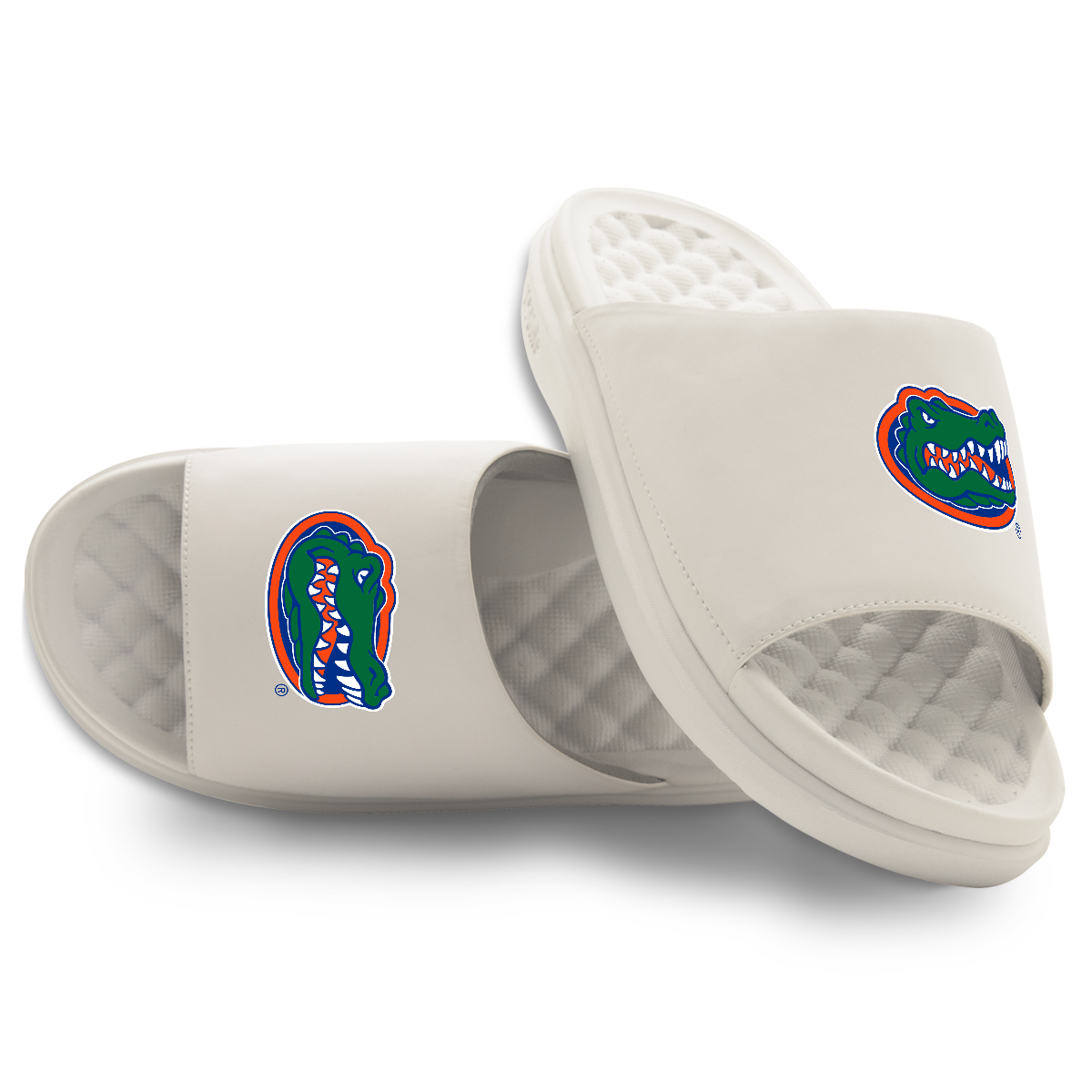 Florida Gators Primary Motive 16