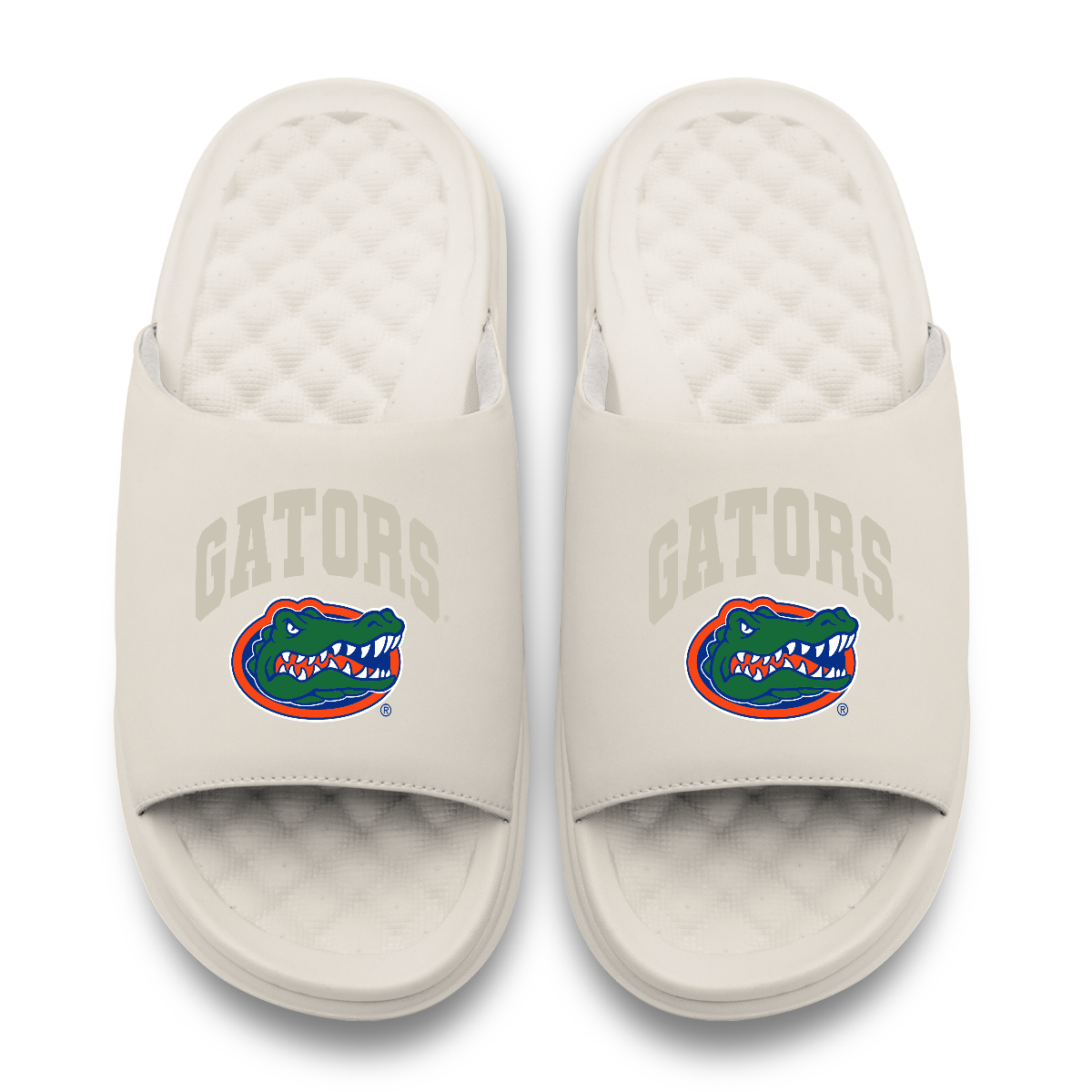 Florida Gators Tonal Pop Motive 5