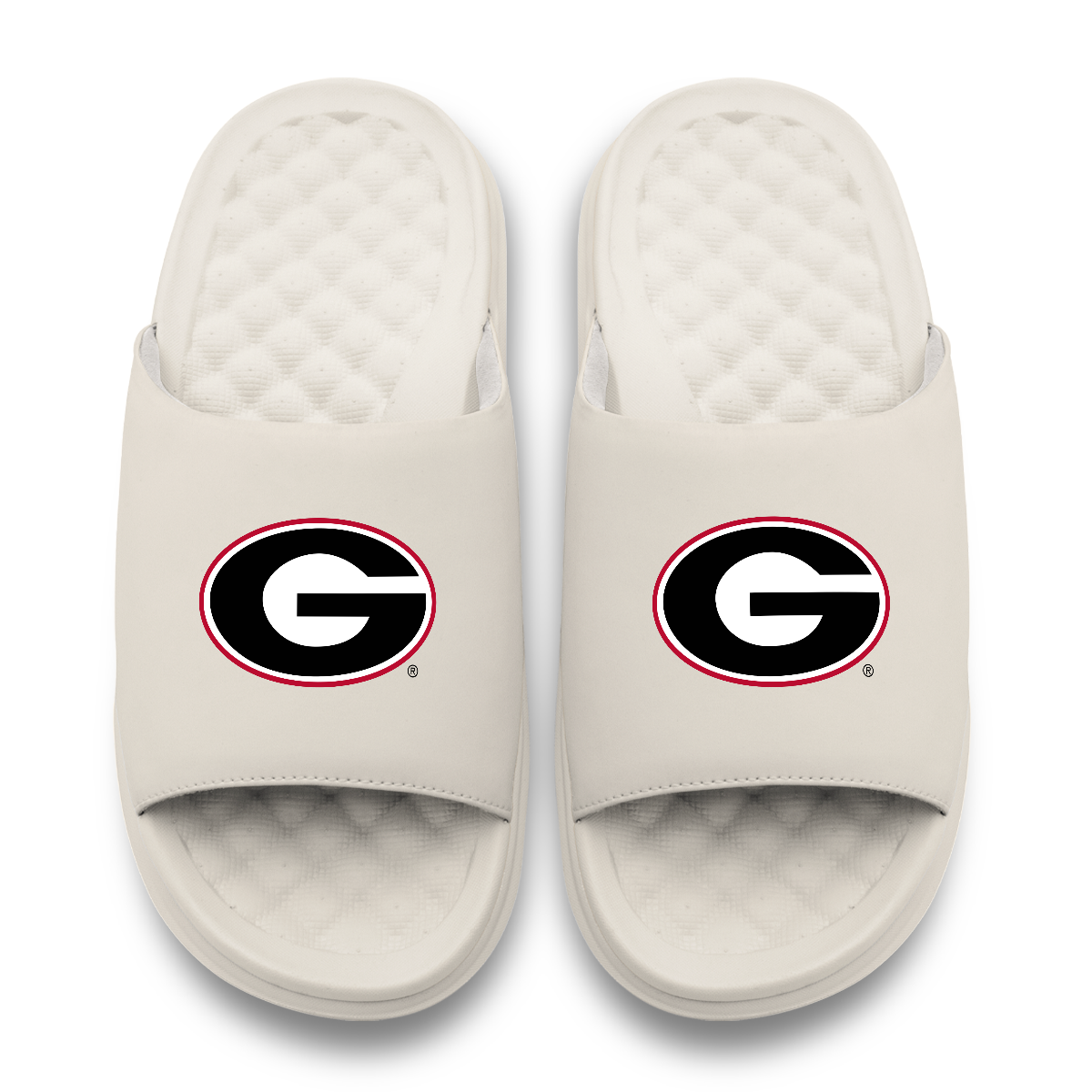 Georgia Bulldogs Primary Motive 17
