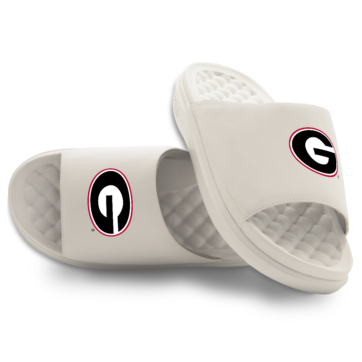 Georgia Bulldogs Primary Motive 16