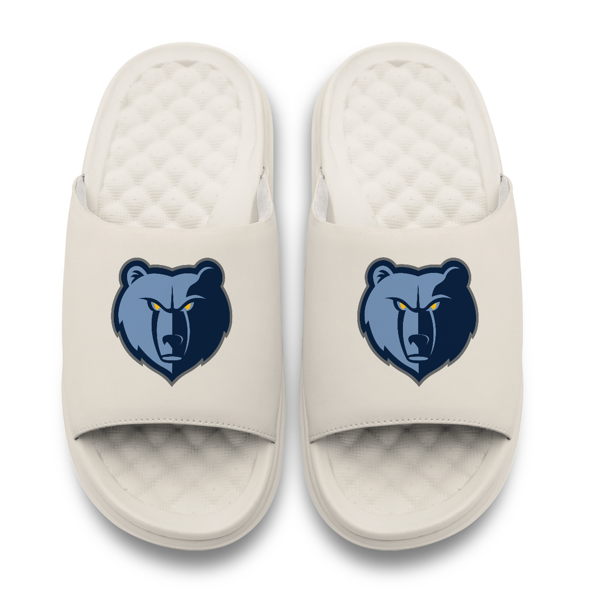 Memphis Grizzlies Primary Motive 17