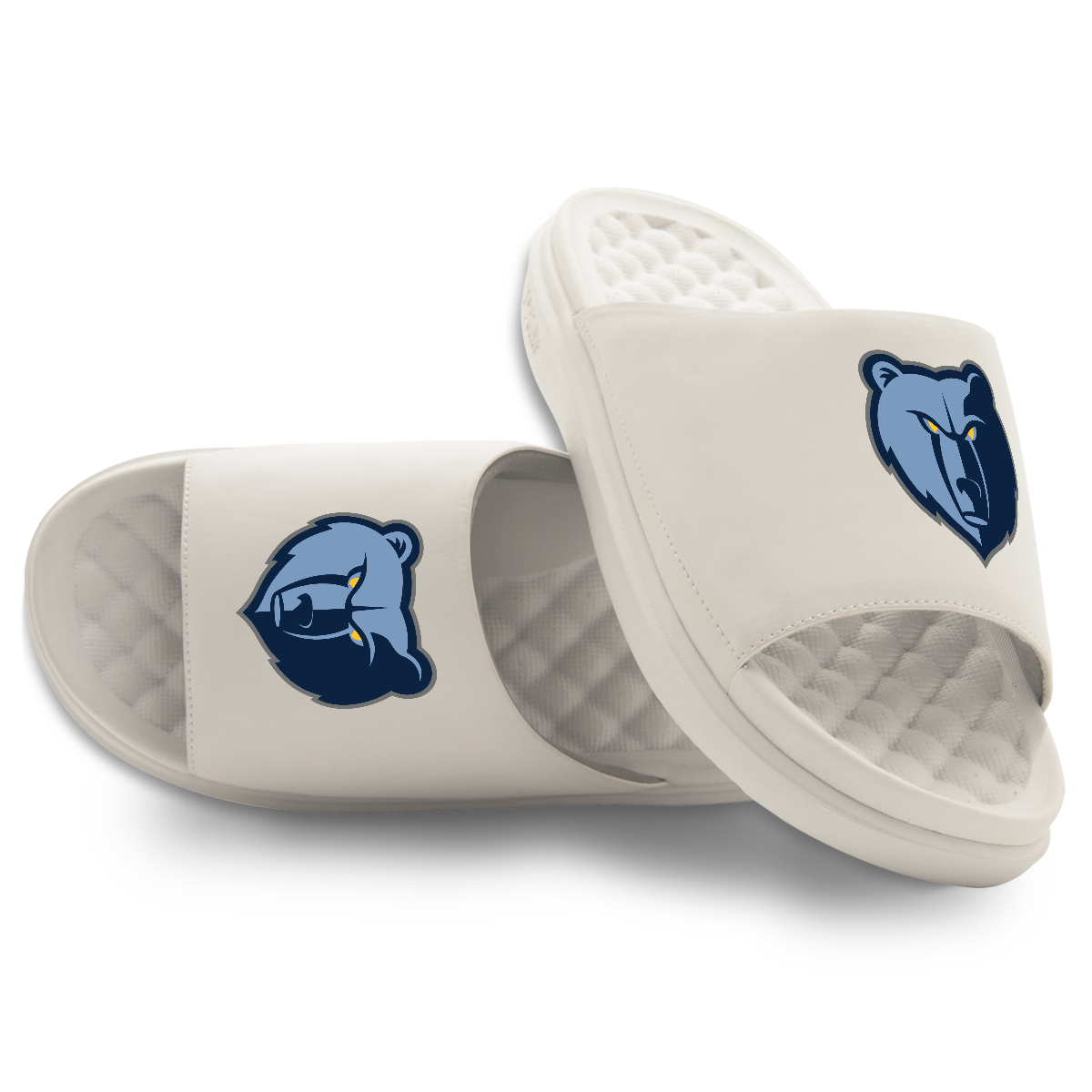 Memphis Grizzlies Primary Motive 16