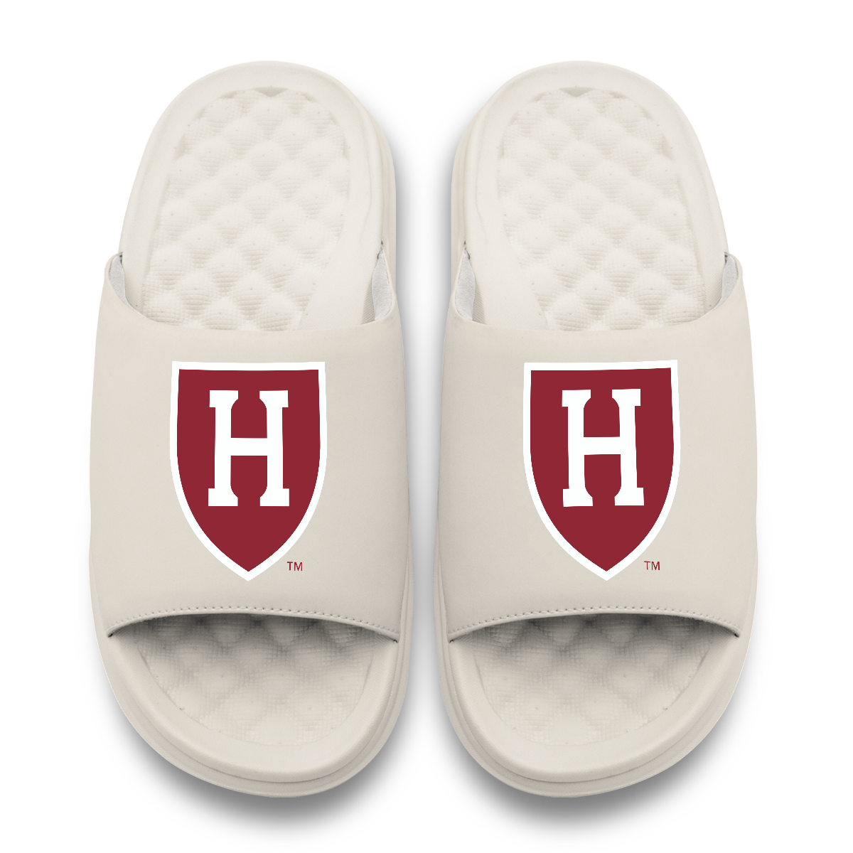 Harvard Crimson Primary Motive 11