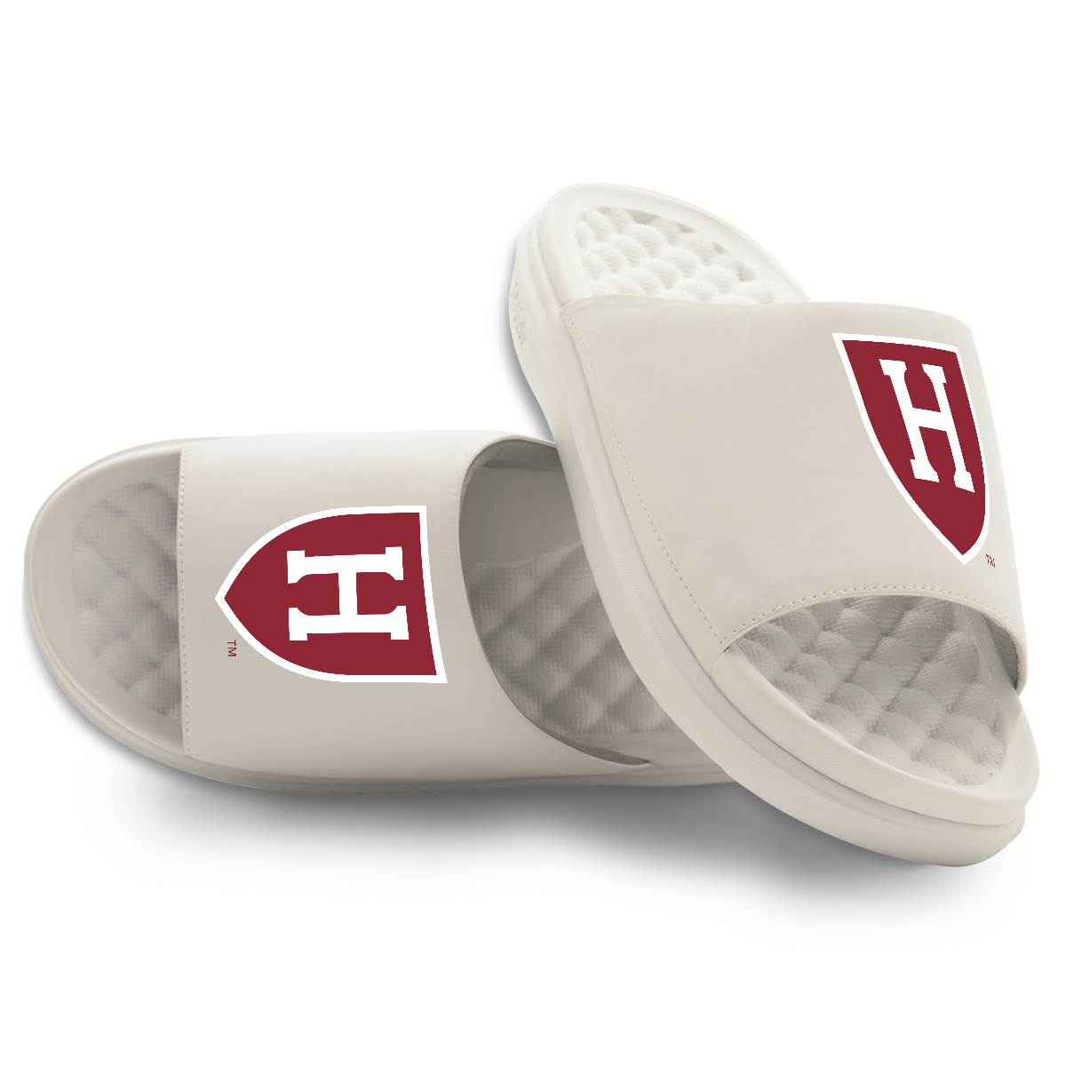 Harvard Crimson Primary Motive 10