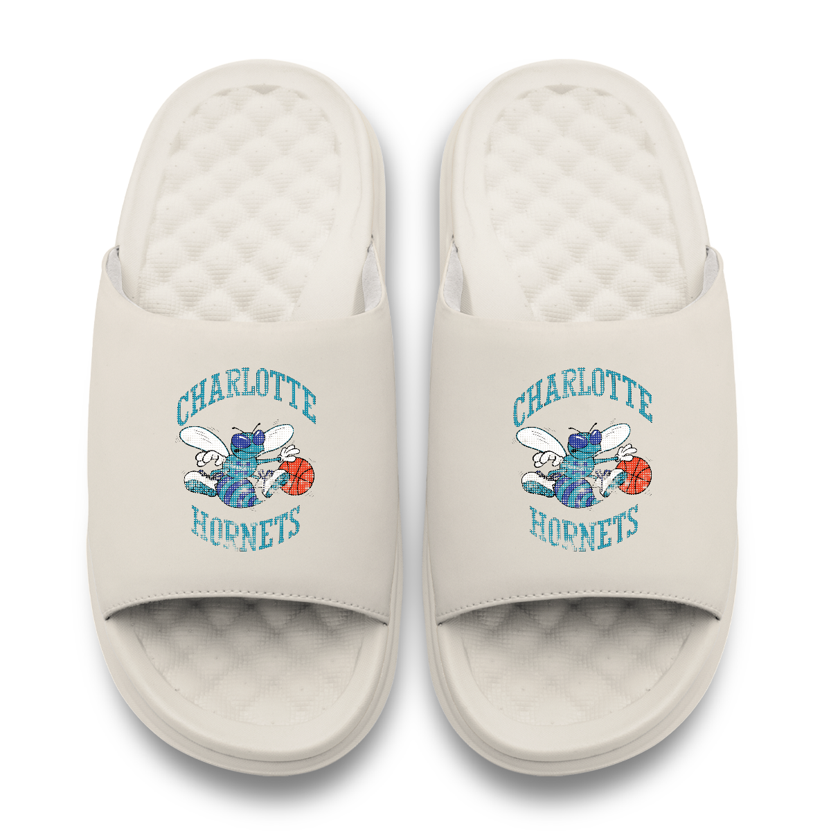 Charlotte Hornets Hardwood Classics Distressed Logo Motive 2
