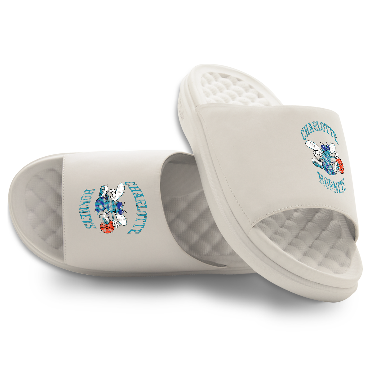 Charlotte Hornets Hardwood Classics Distressed Logo Motive 1