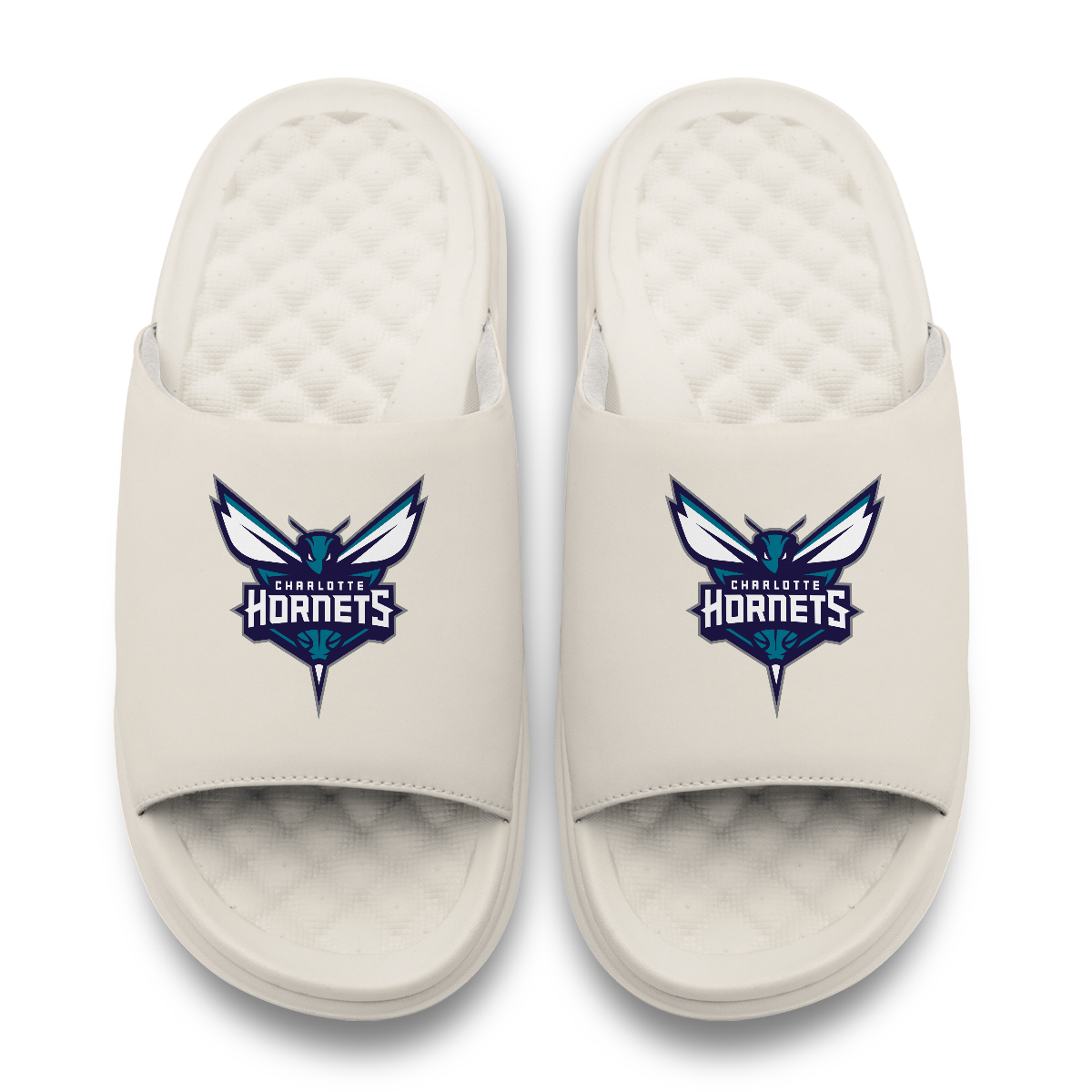 Charlotte Hornets Primary Motive 17