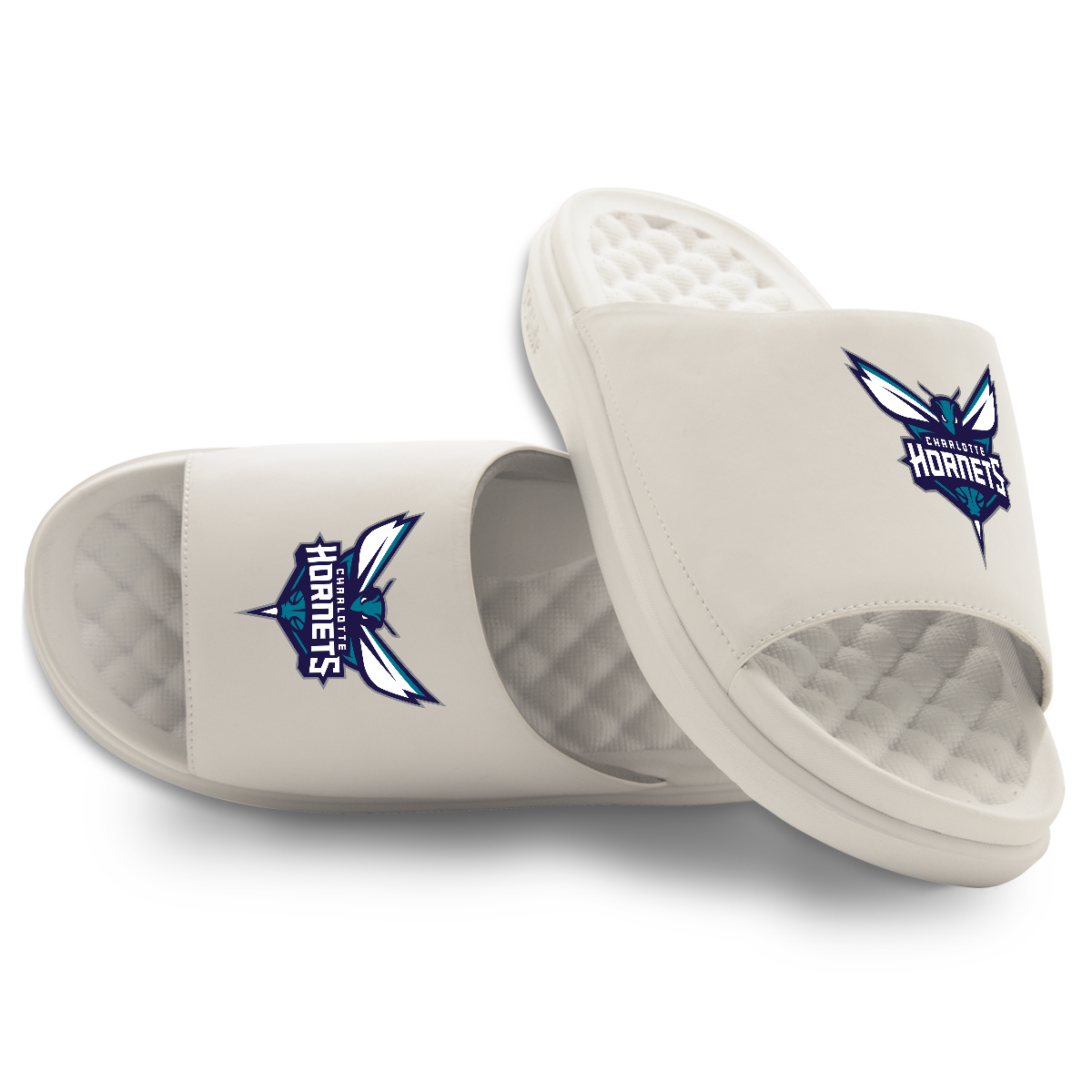 Charlotte Hornets Primary Motive 16