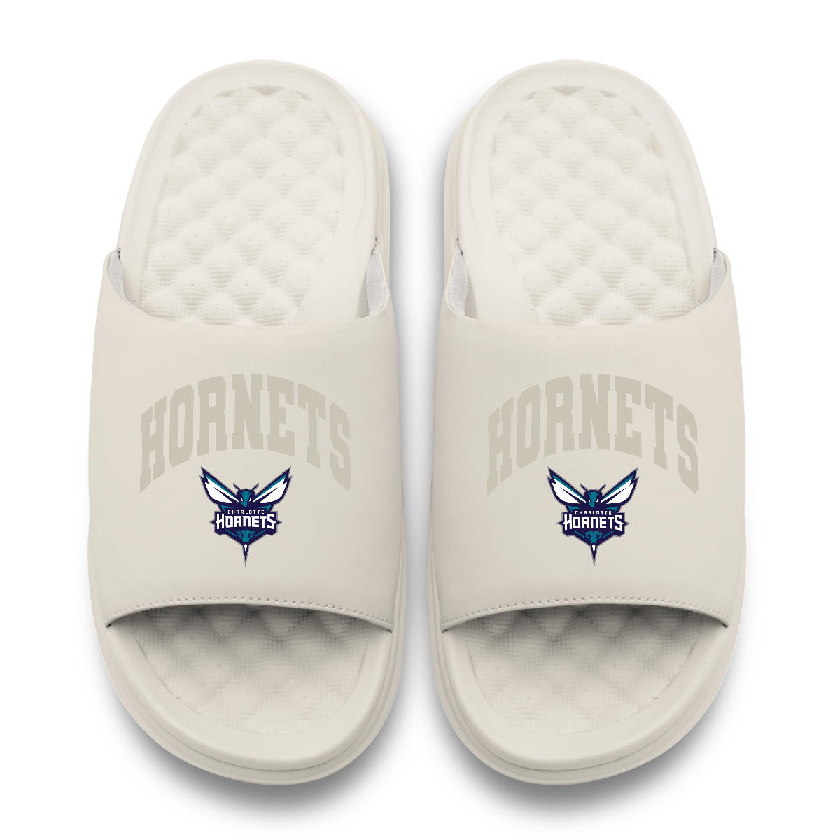 Charlotte Hornets Tonal Pop Motive 5