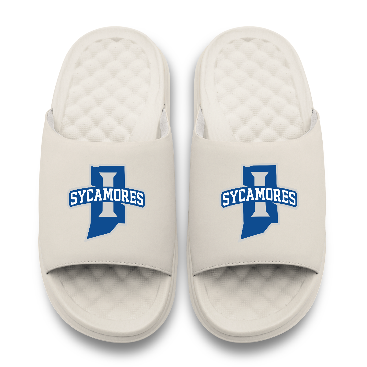 Indiana State Sycamores Primary Motive 17