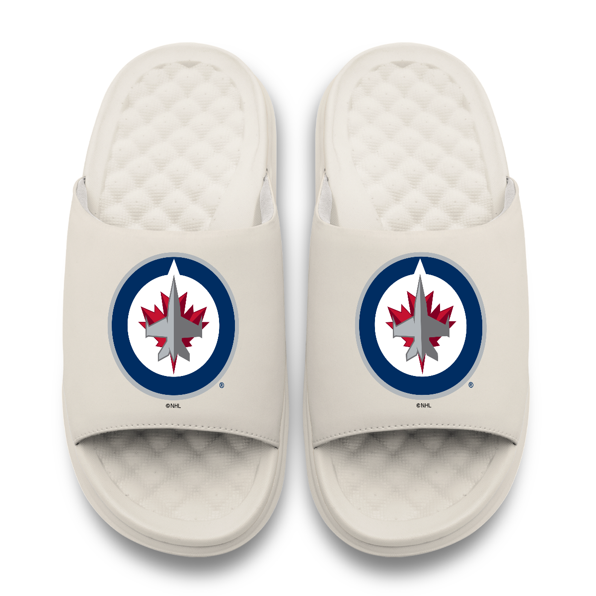 Winnipeg Jets Primary Motive 17