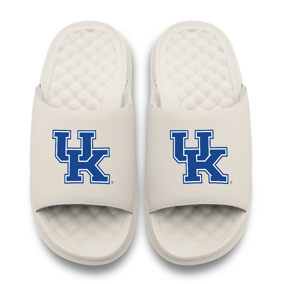 Kentucky Wildcats Primary Motive 17