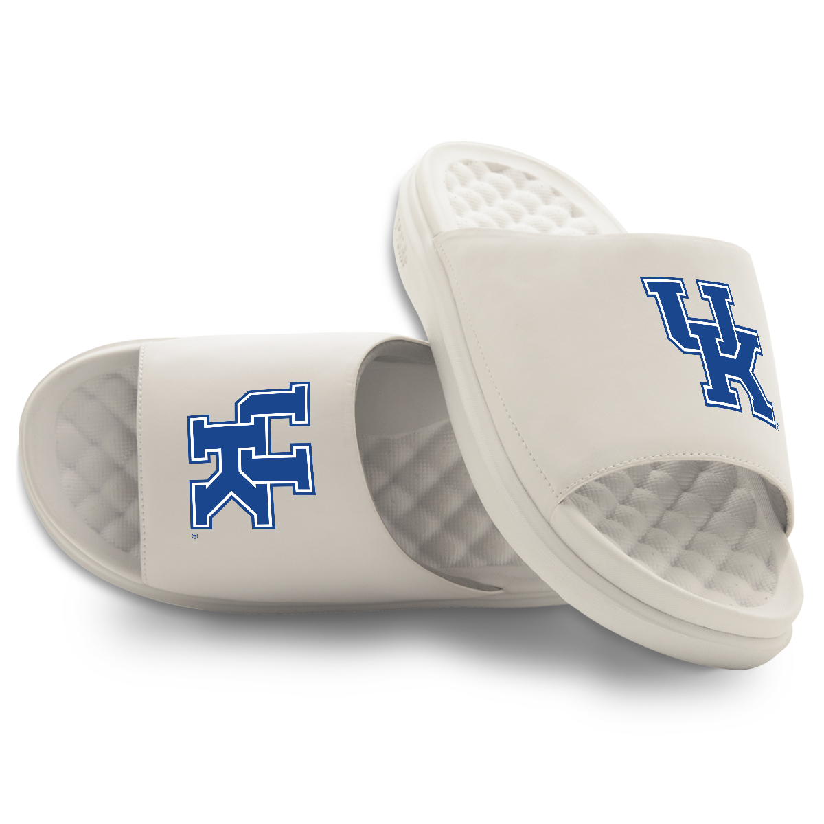Kentucky Wildcats Primary Motive 16