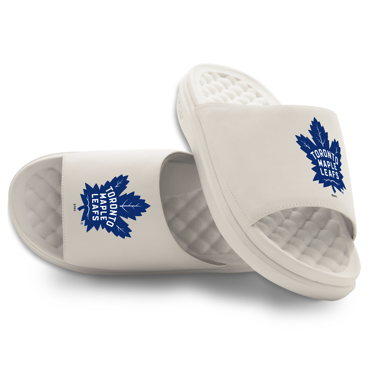 Toronto Maple Leafs Primary Motive 16