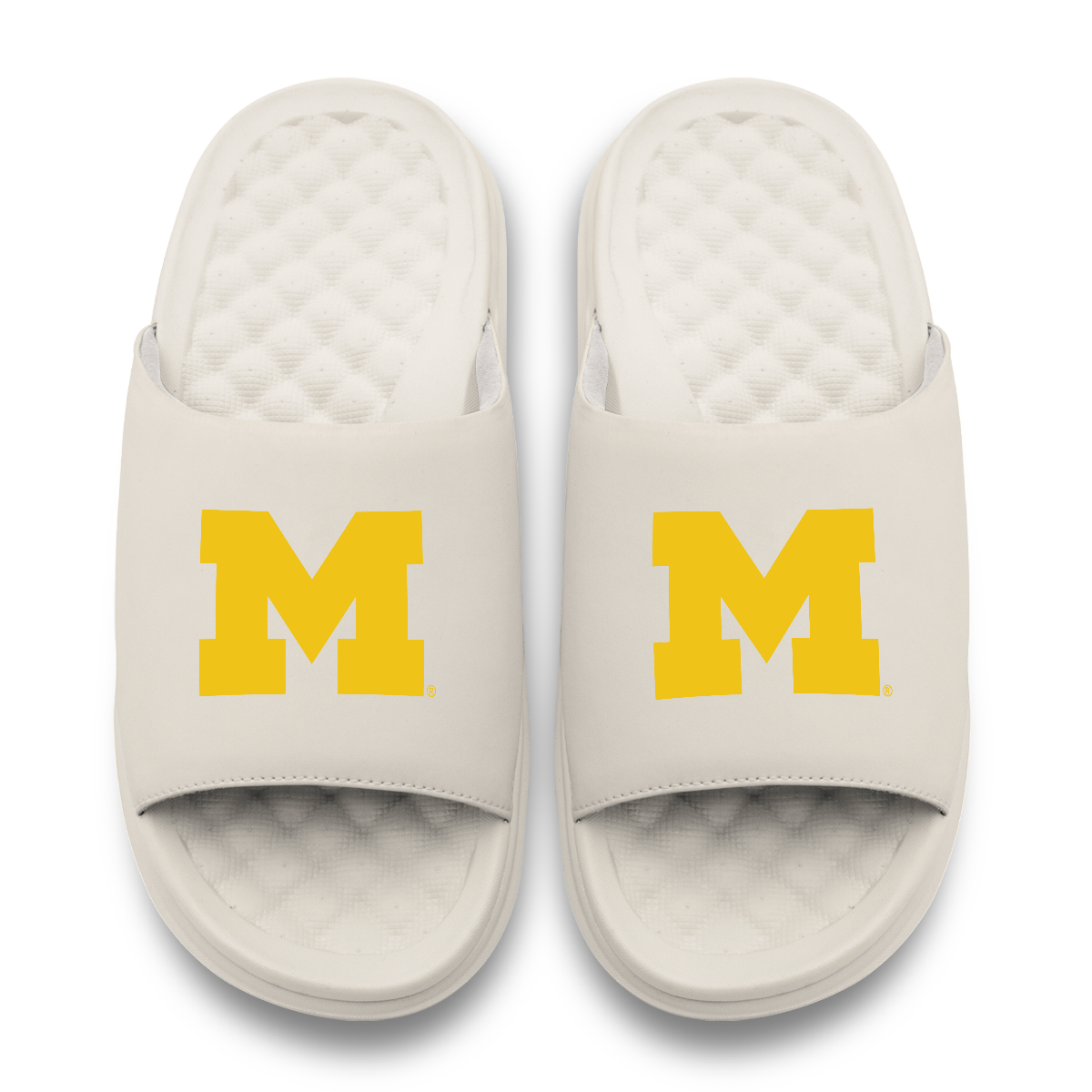 Michigan Wolverines Primary Motive 17
