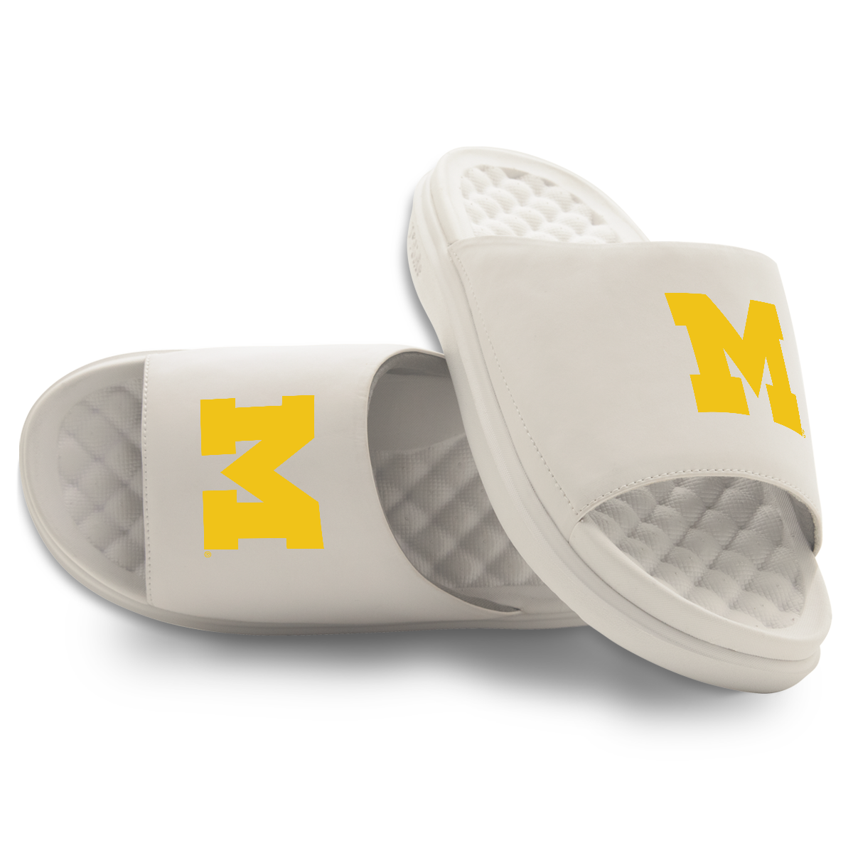 Michigan Wolverines Primary Motive 16