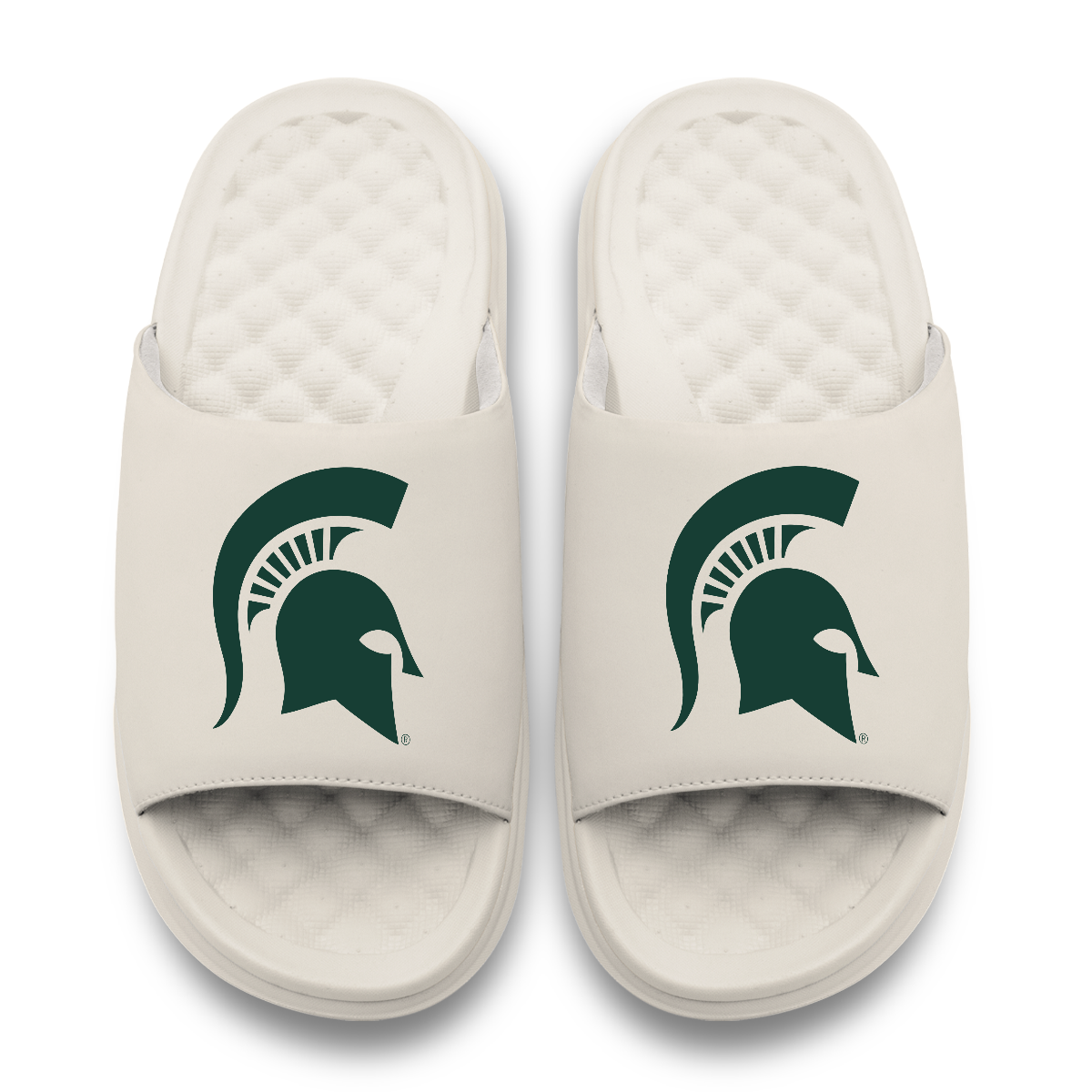 Michigan State Spartans Primary Motive 17