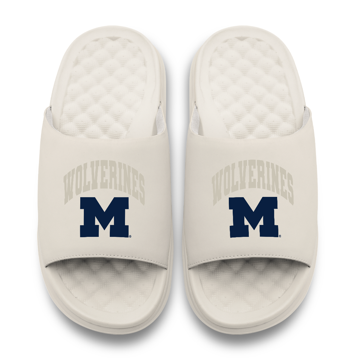 Michigan Wolverines Tonal Pop Motive 5