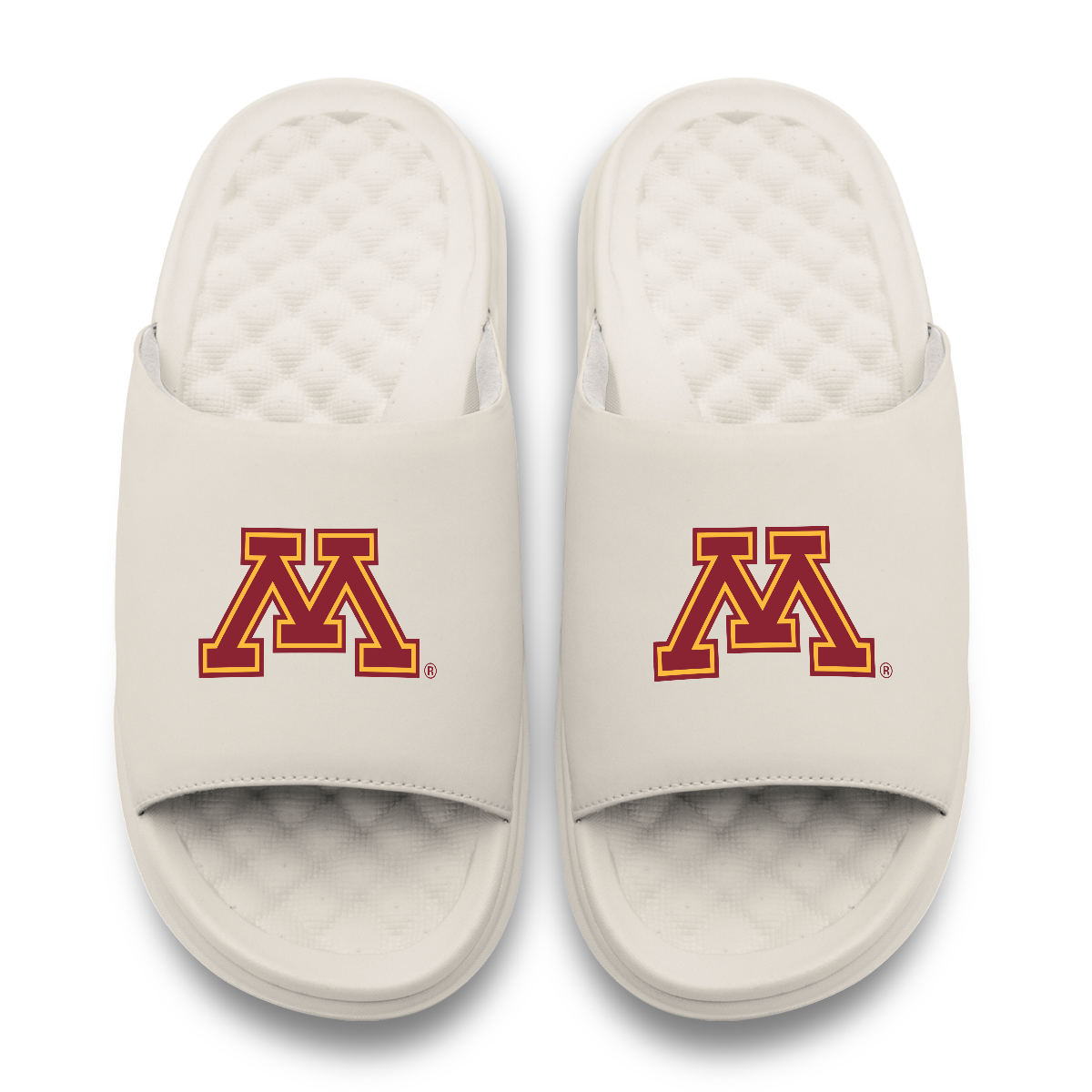 Minnesota Golden Gophers Primary Motive 17