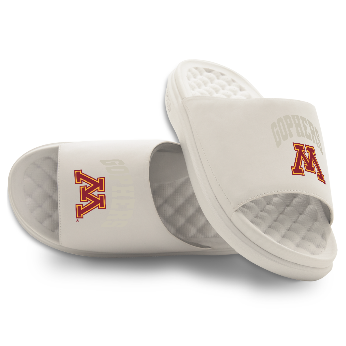 Minnesota Golden Gophers Tonal Pop Motive 1