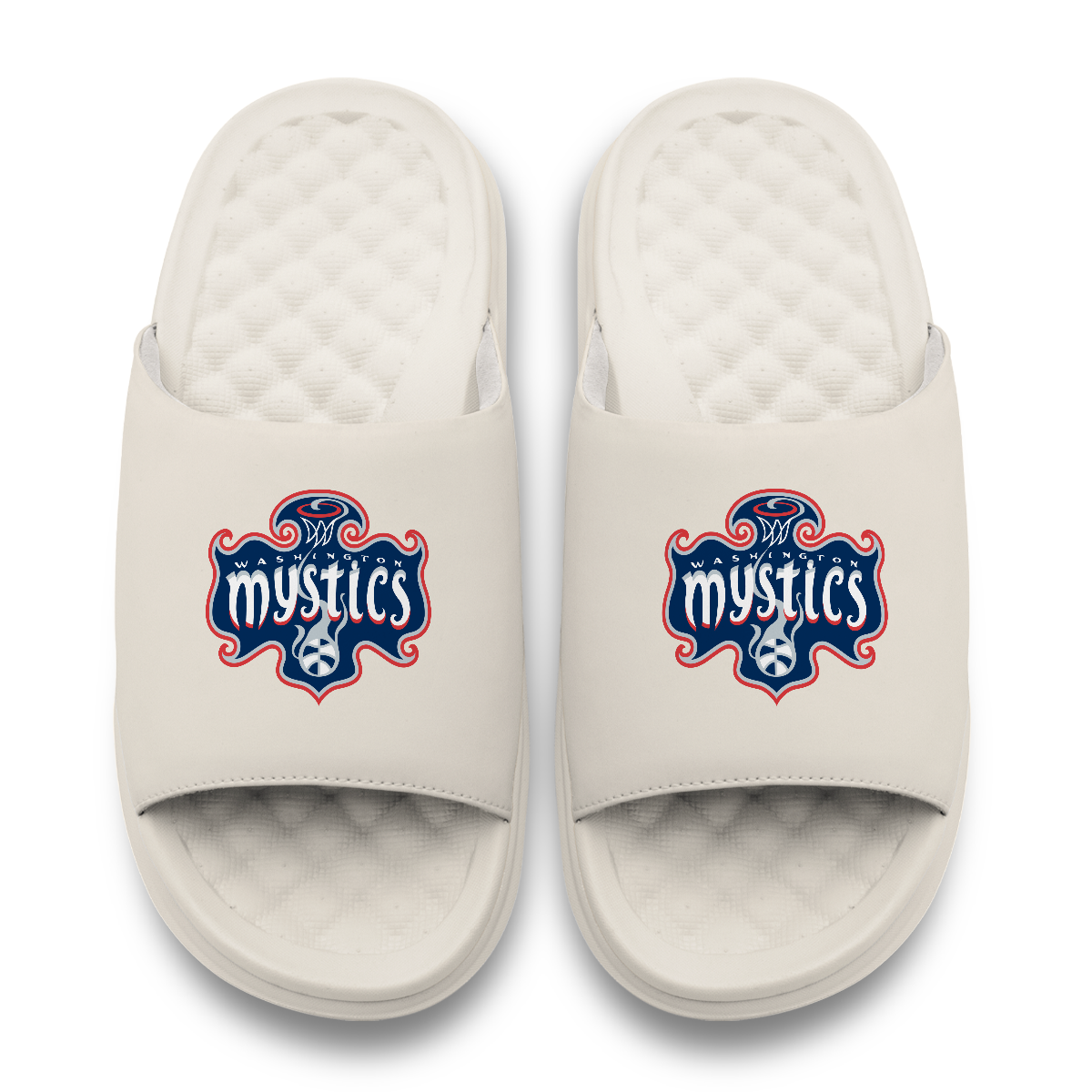 Washinton Mystics Primary Motive 17