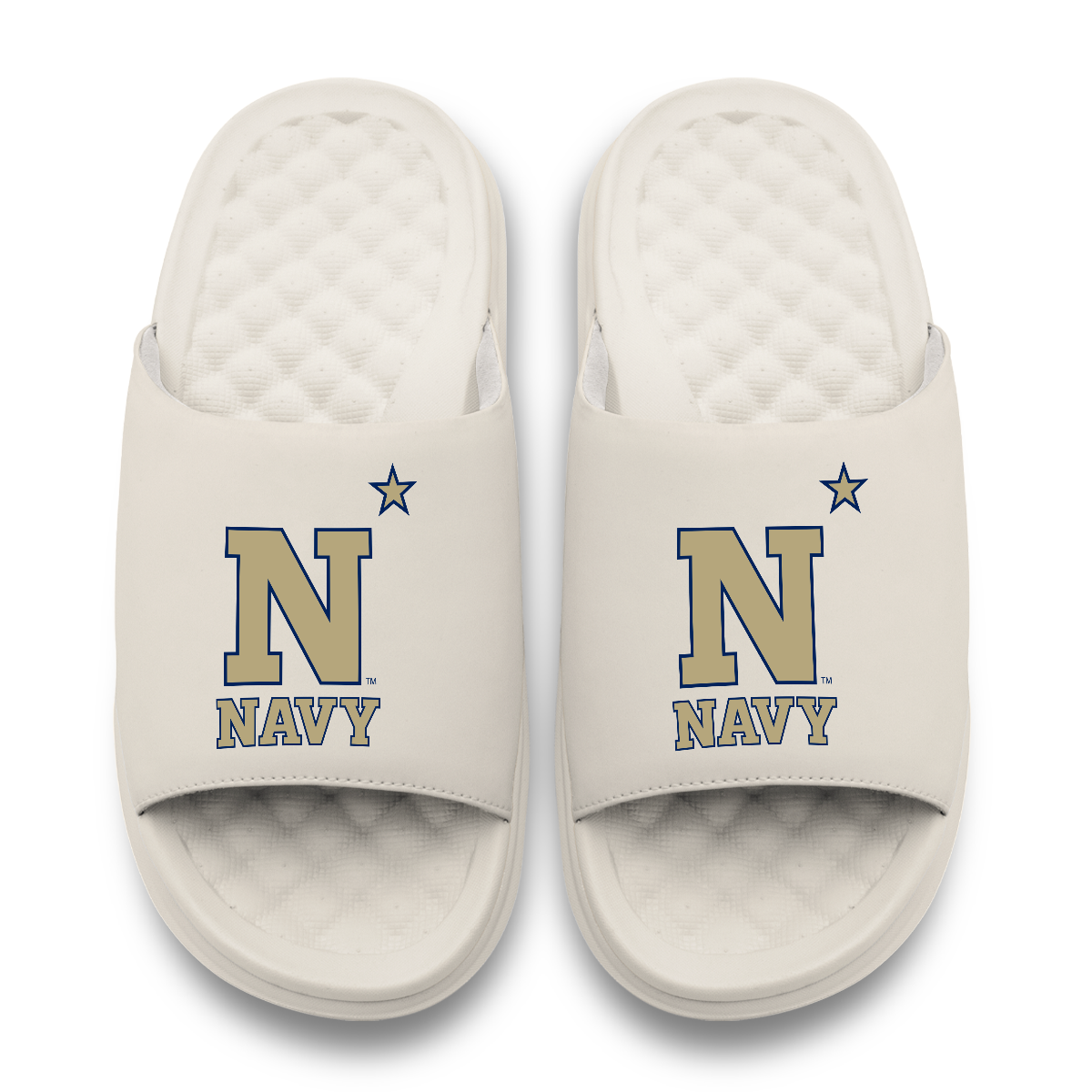 Navy Midshipmen Primary Motive 17