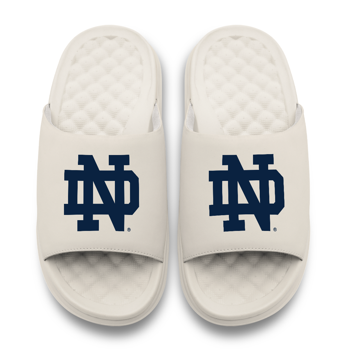 Notre Dame Fighting Irish Primary Motive 17