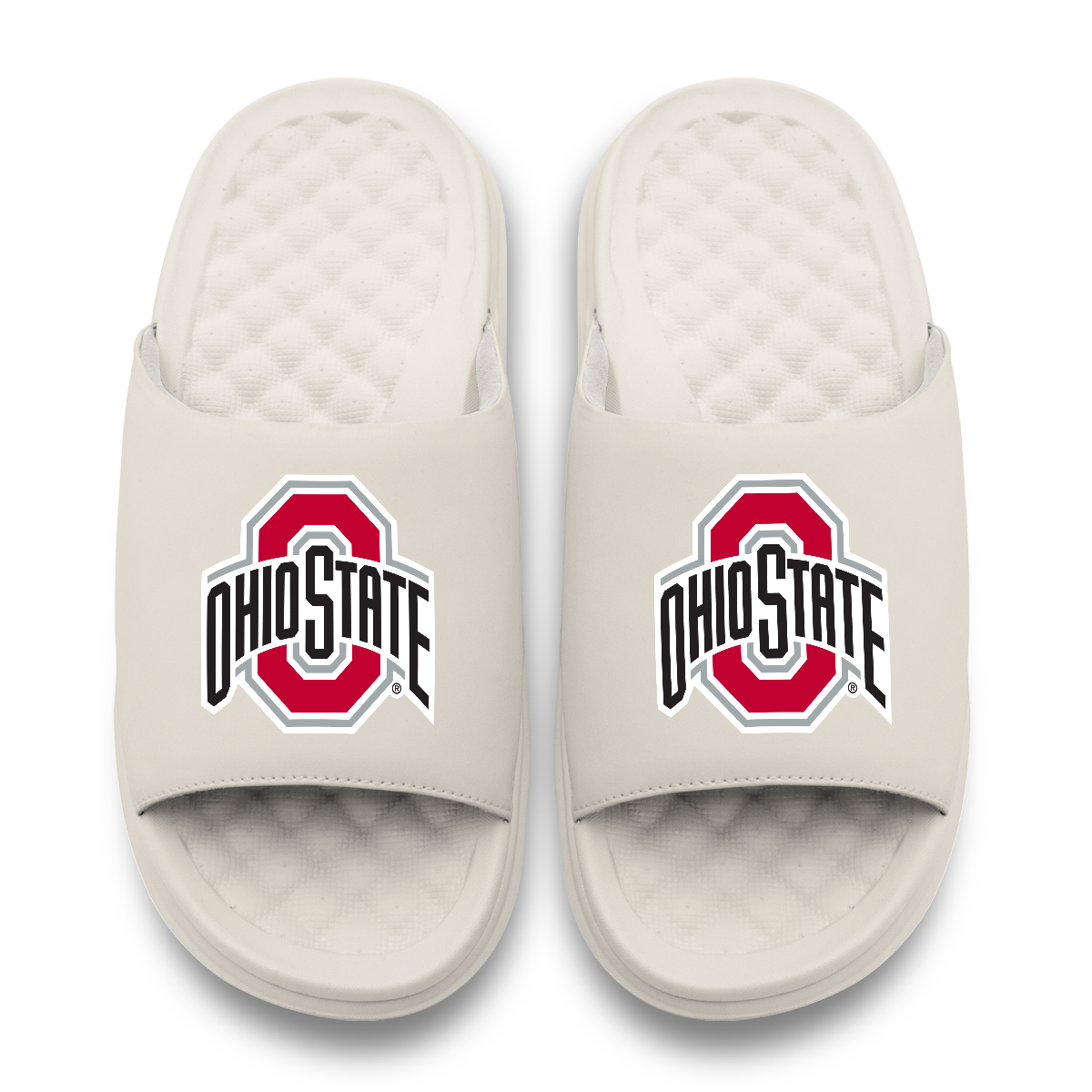 Ohio State Buckeyes Primary Motive 17