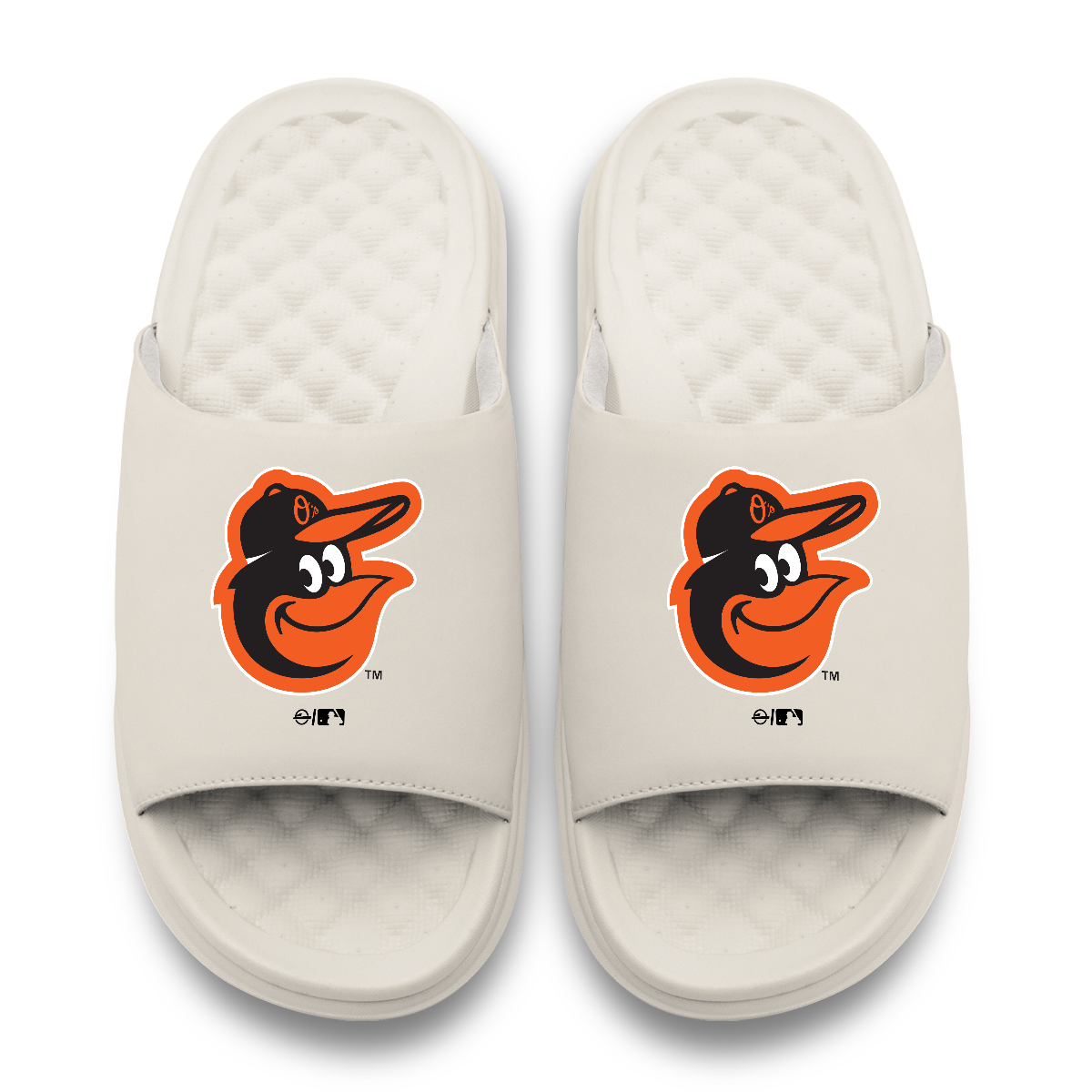 Baltimore Orioles Primary Motive 17