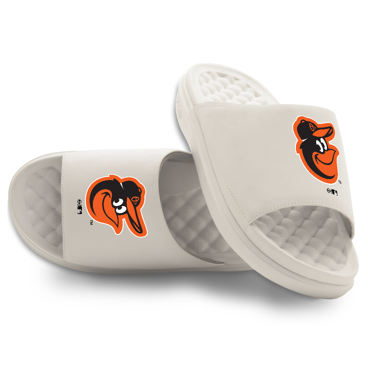 Baltimore Orioles Primary Motive 16