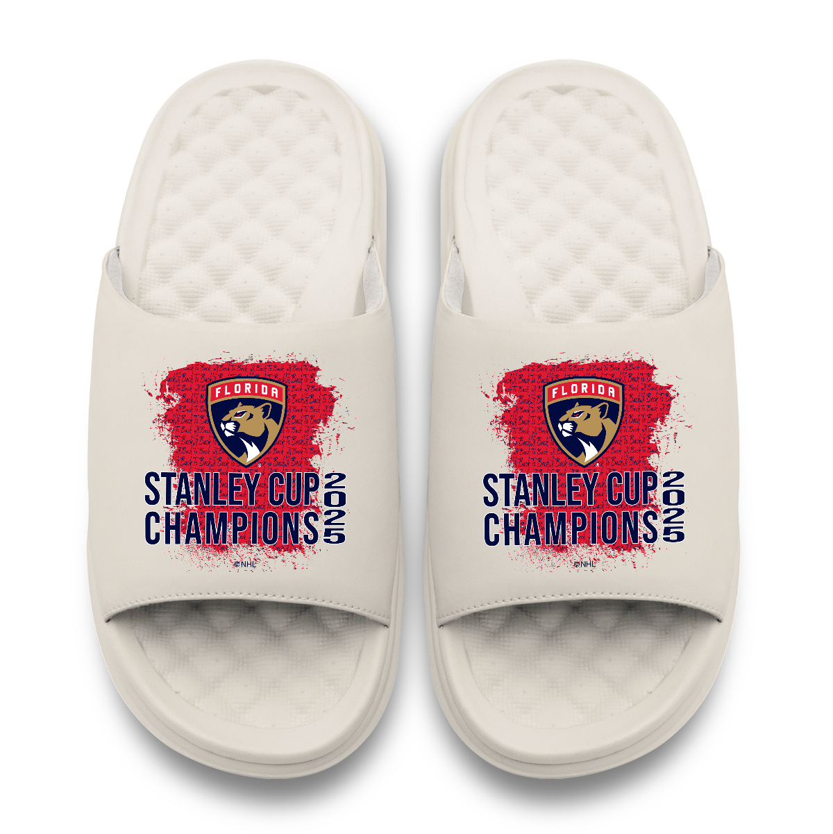 Florida Panthers 2025 Stanley Cup Champions Script Motive 11