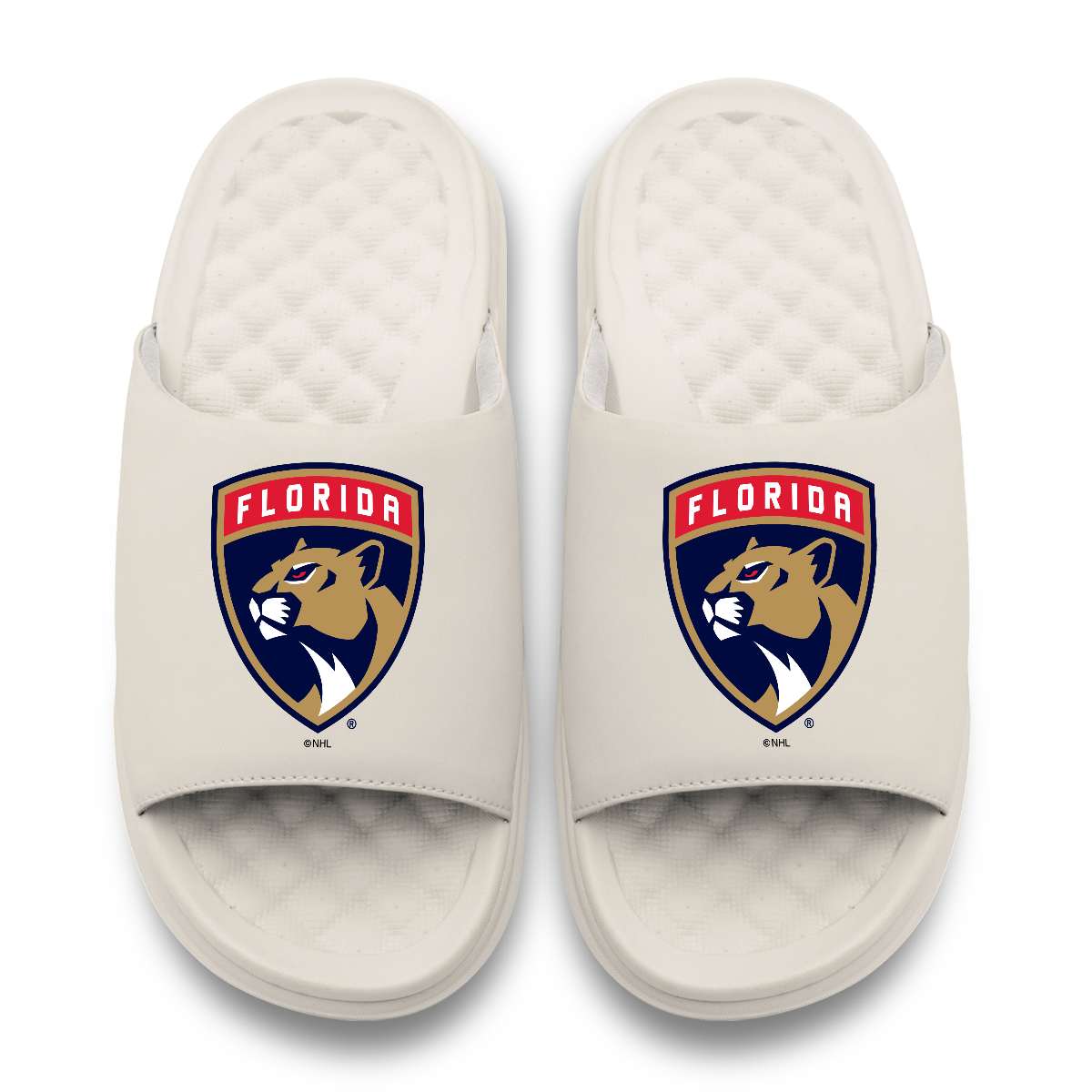 Florida Panthers Primary Motive 17