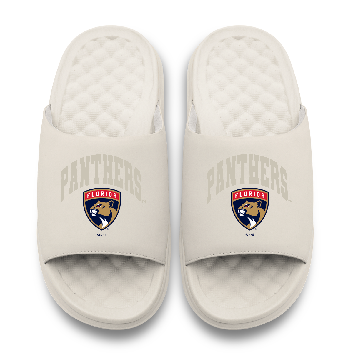 Florida Panthers Tonal Pop Motive 5