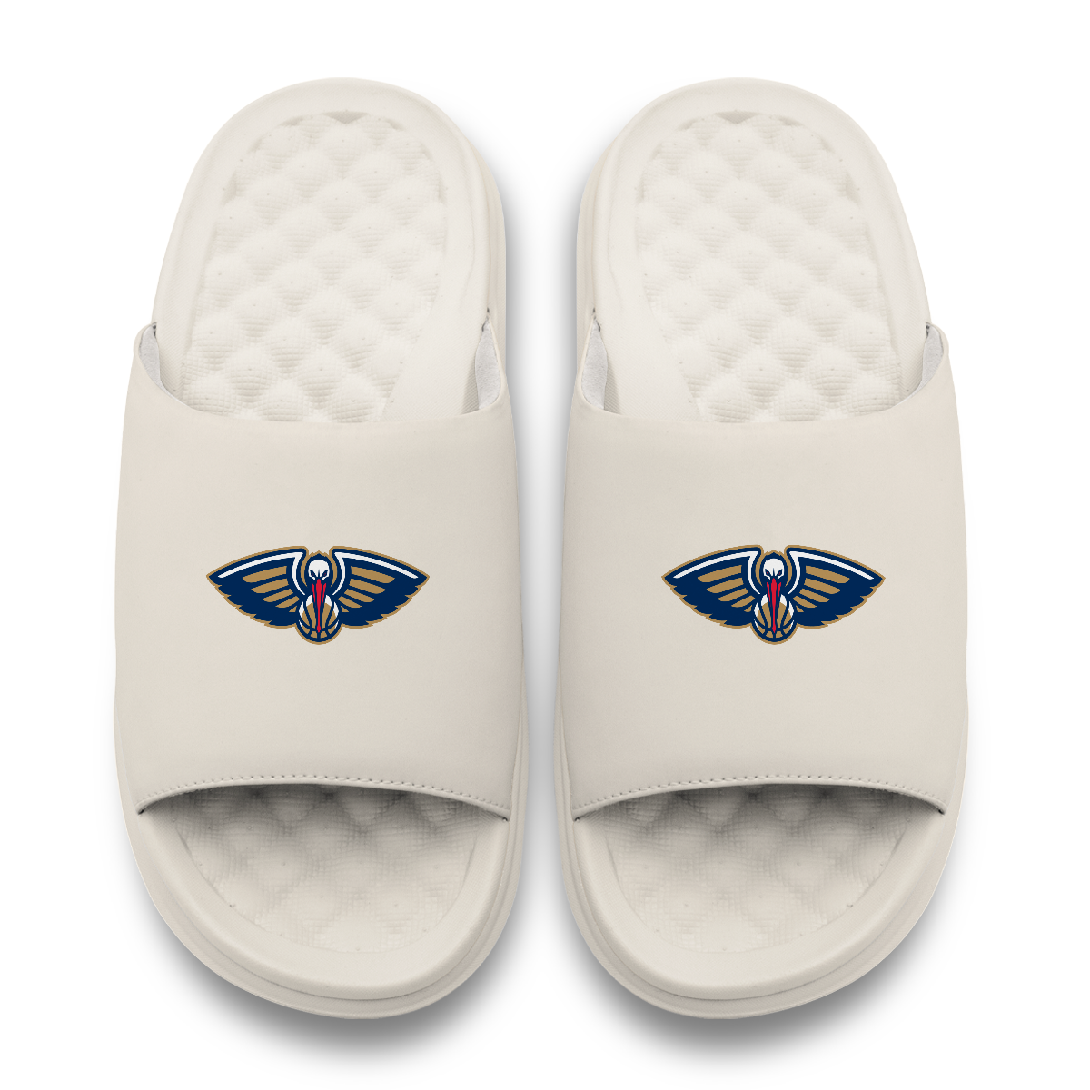 New Orleans Pelicans Primary Motive 17