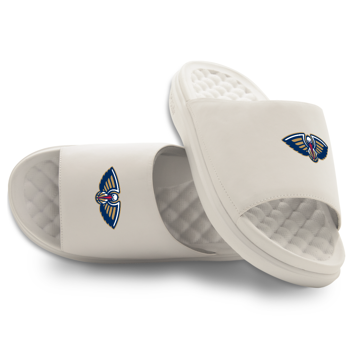 New Orleans Pelicans Primary Motive 16