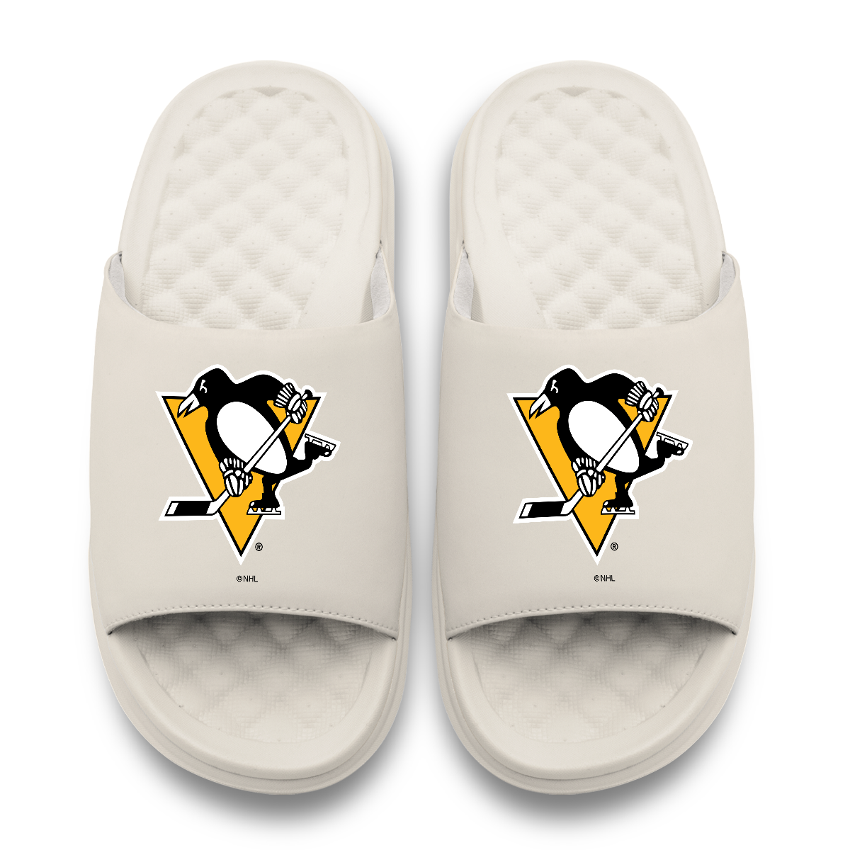 Pittsburgh Penguins Primary Motive 17