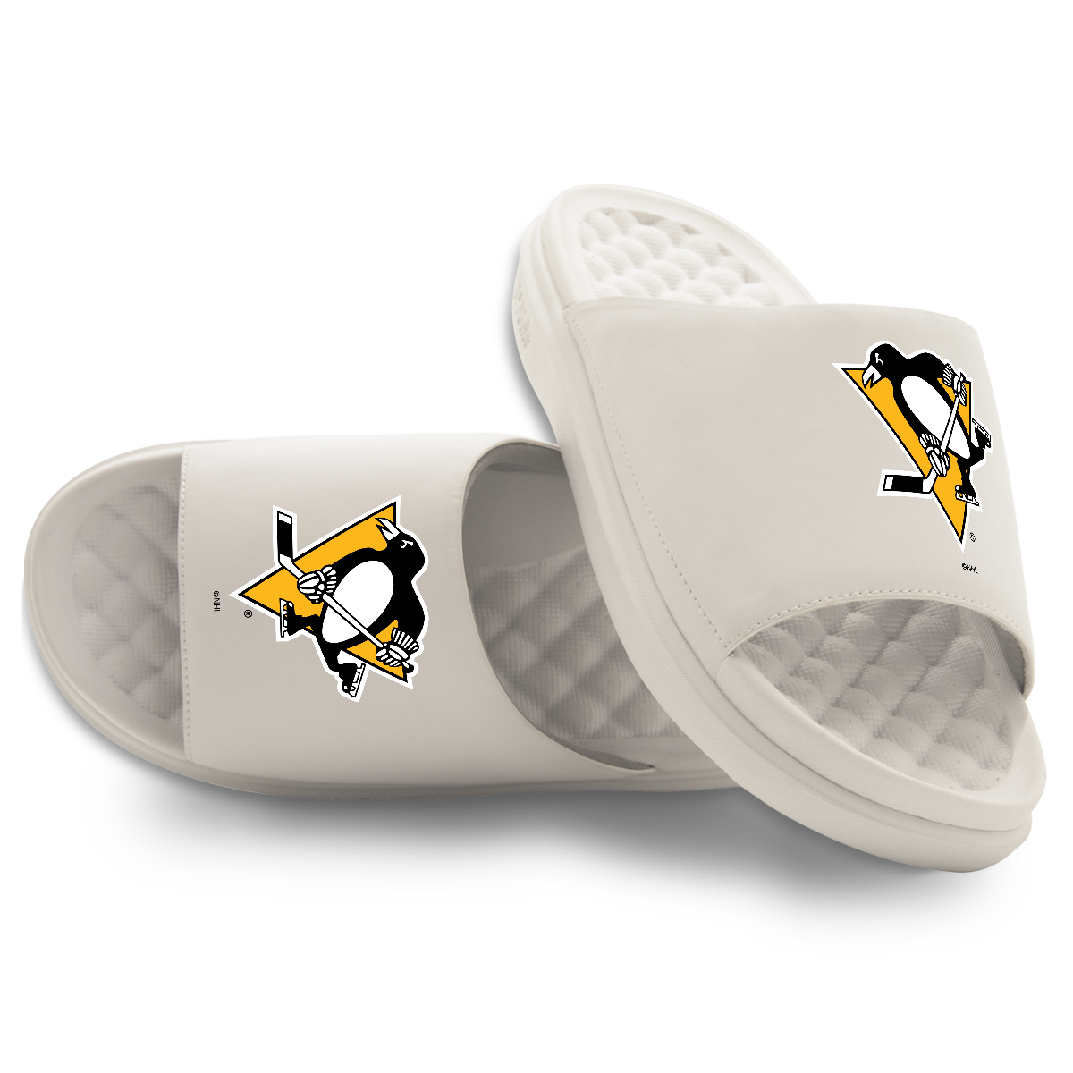 Pittsburgh Penguins Primary Motive 16